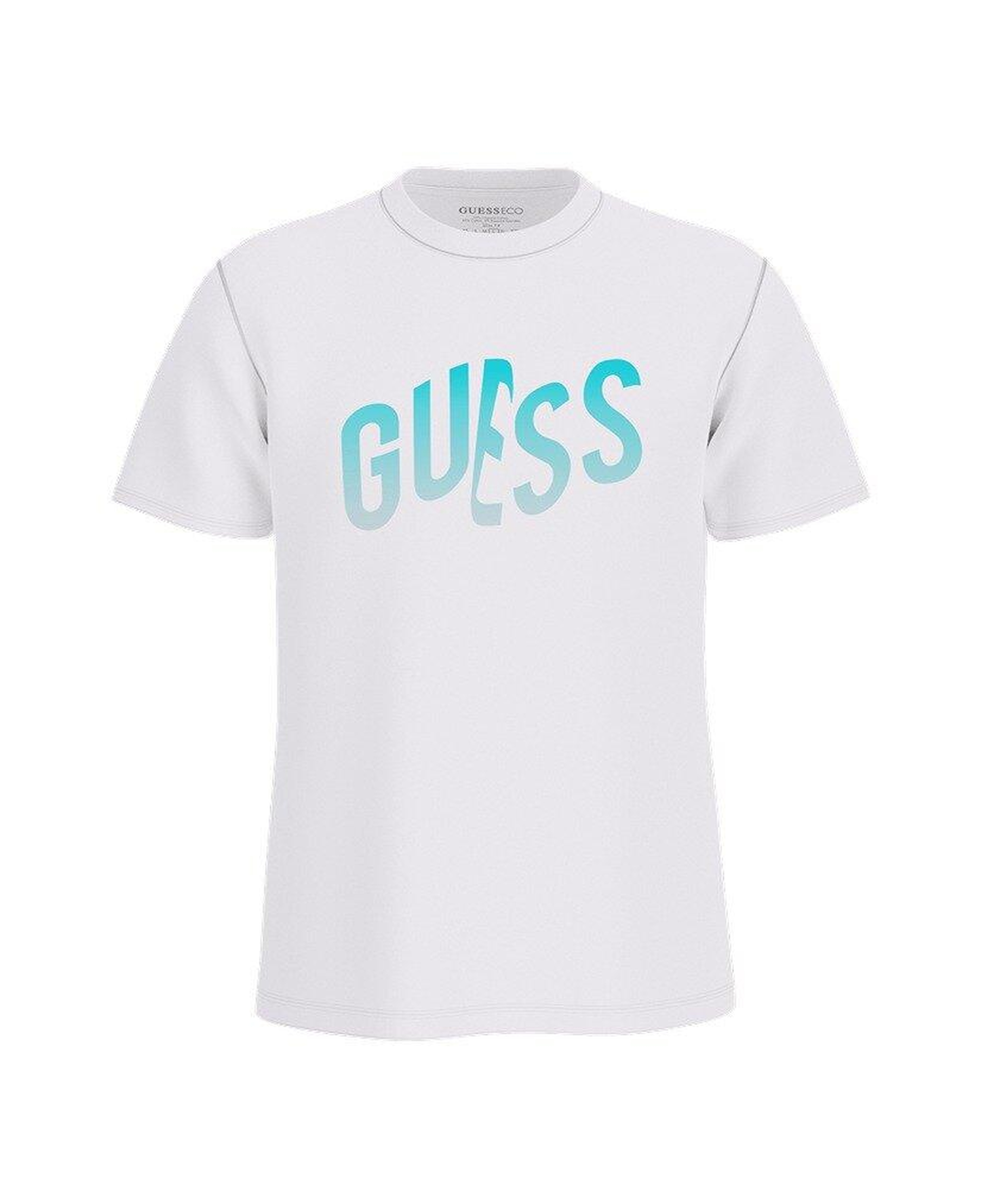 Gradient Erkek Regular Fit T-Shirt
