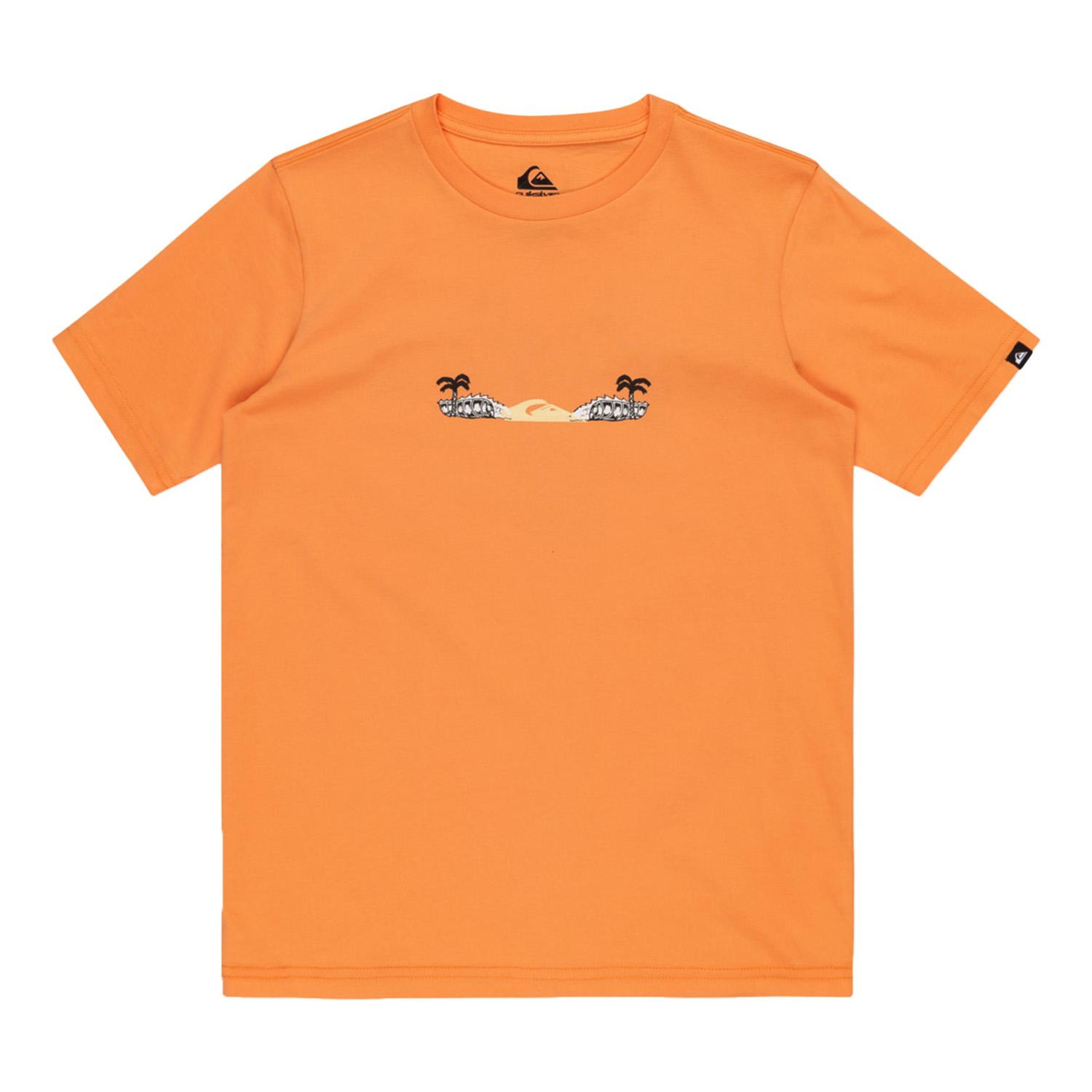 Quiksilver Surf Core Youth Erkek Çocuk Tişört