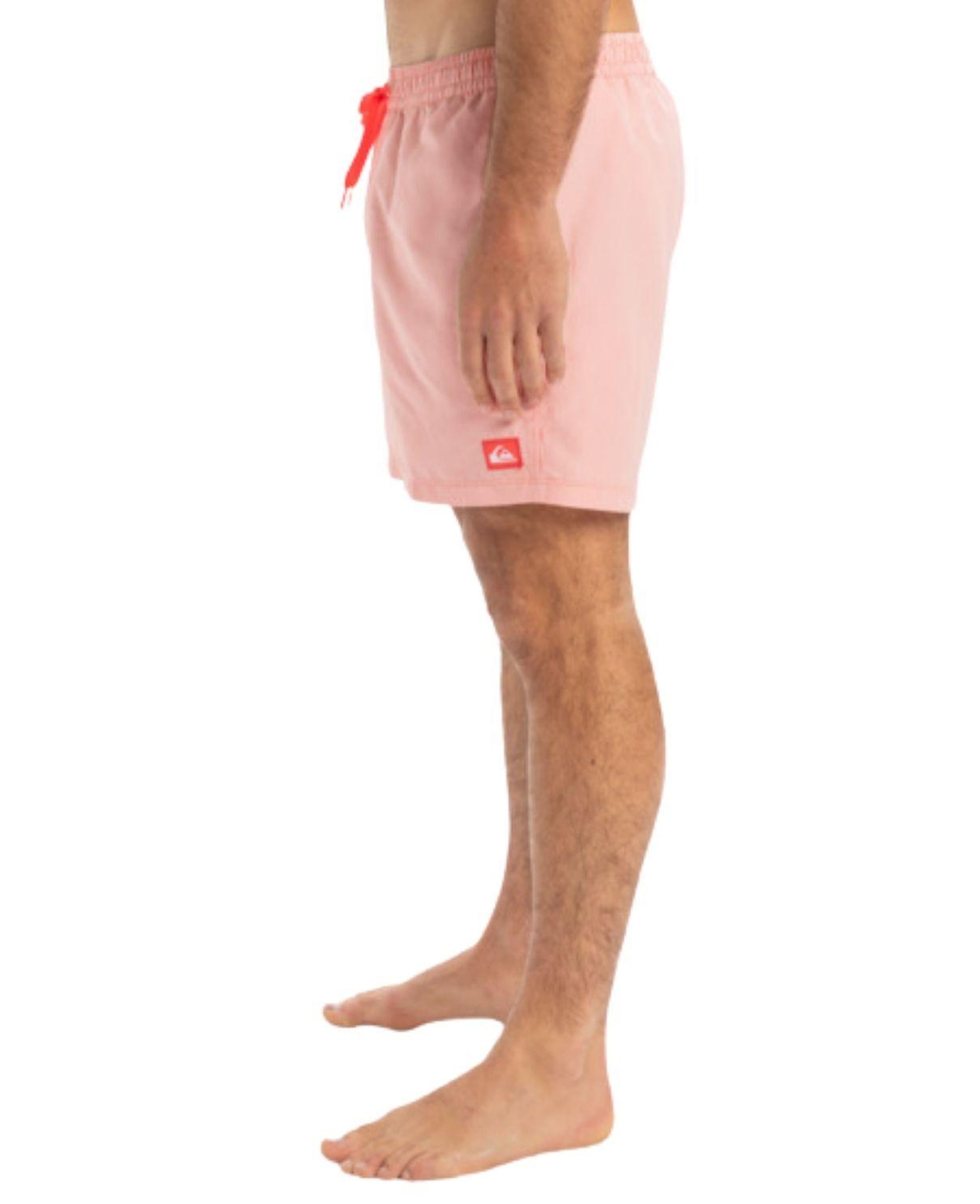 Quiksilver Deluxe 15 Erkek Volley Short