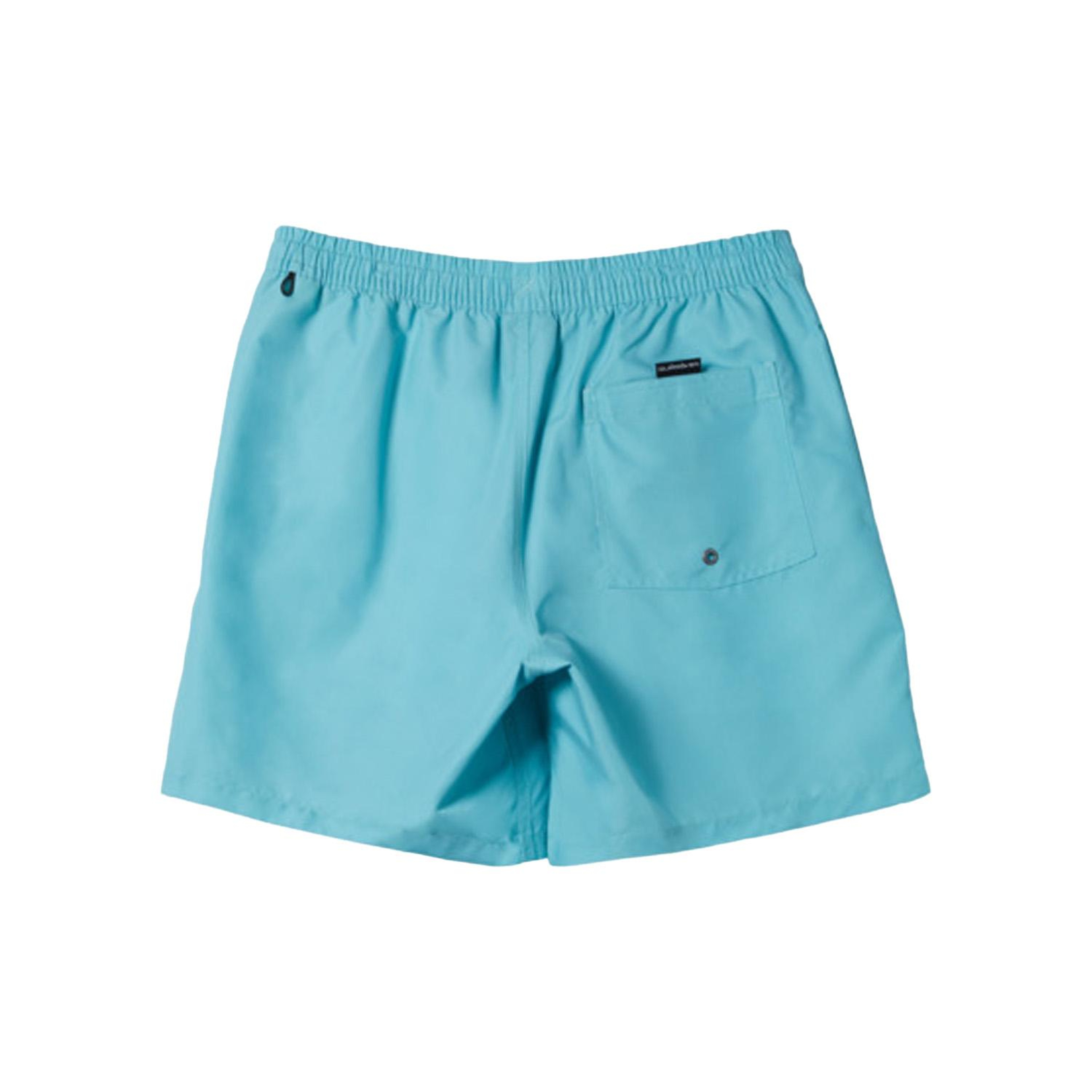 Quiksilver Everyday Vert Volley 16 Erkek Volley