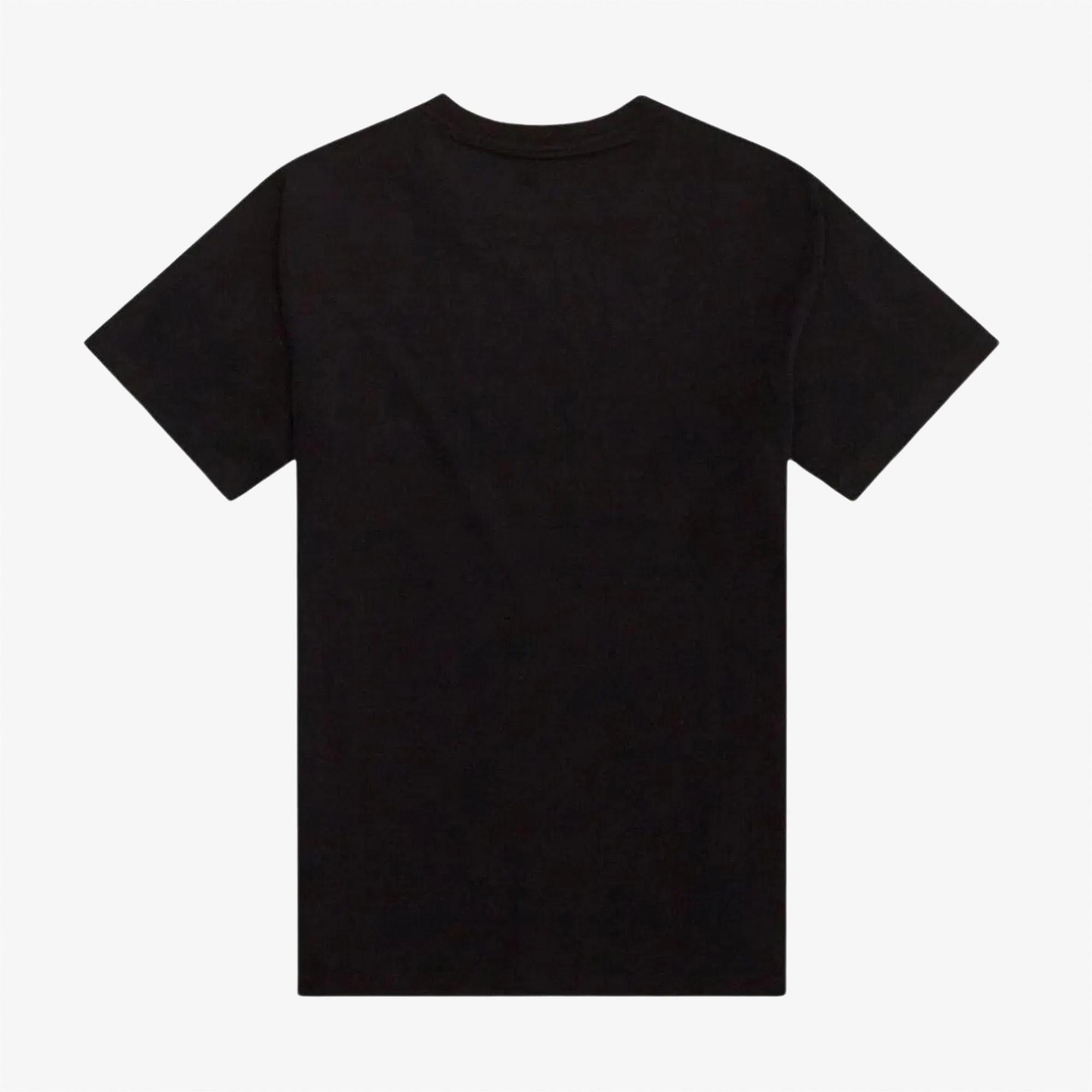 Dickies Summerdale Ss Erkek Siyah T-Shirt