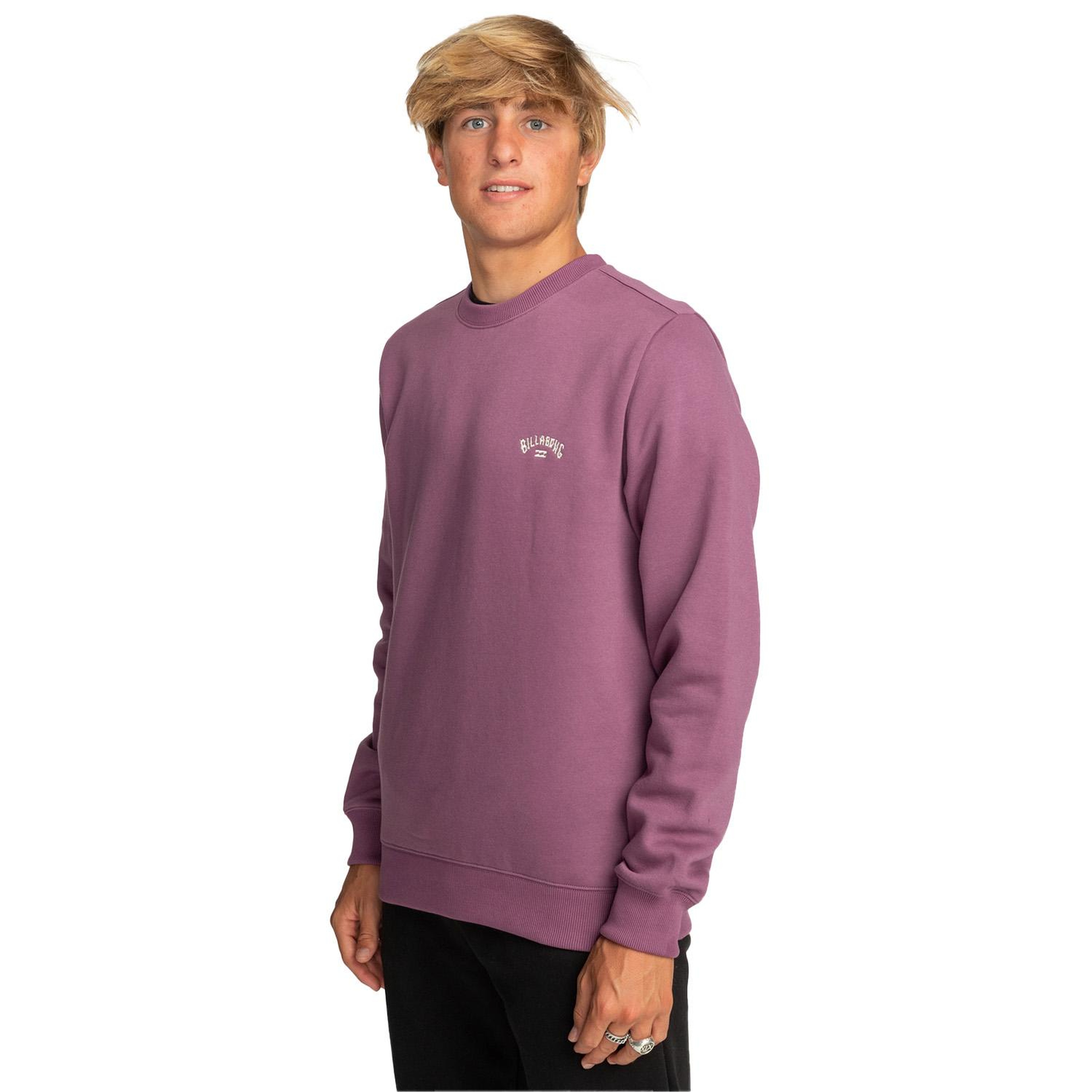 Billabong Arch Cr Erkek Sweatshirt