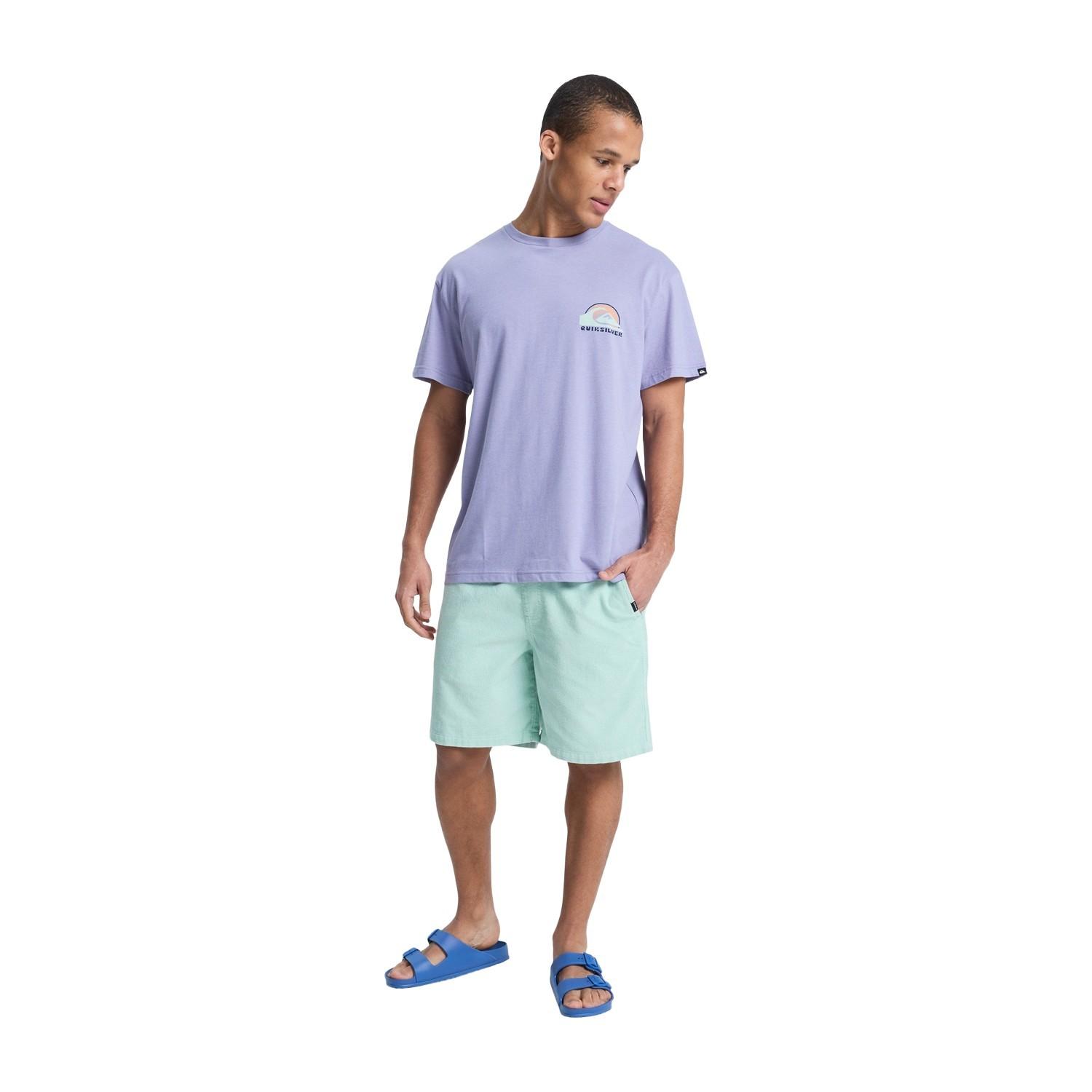 Quiksilver Hellbender Erkek Mor Tişört