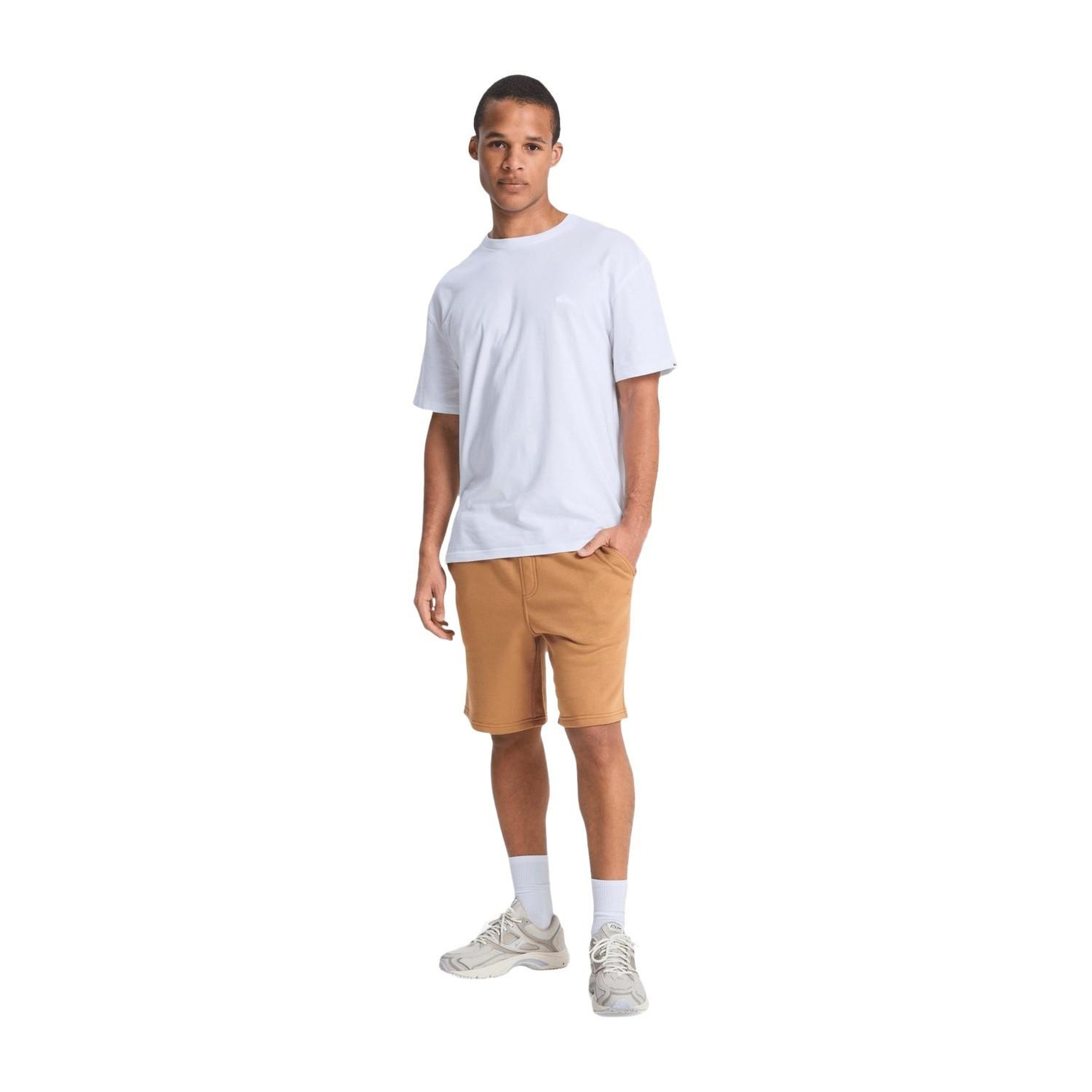 Quiksilver Salt Water Shor Erkek Kahverengi Şort