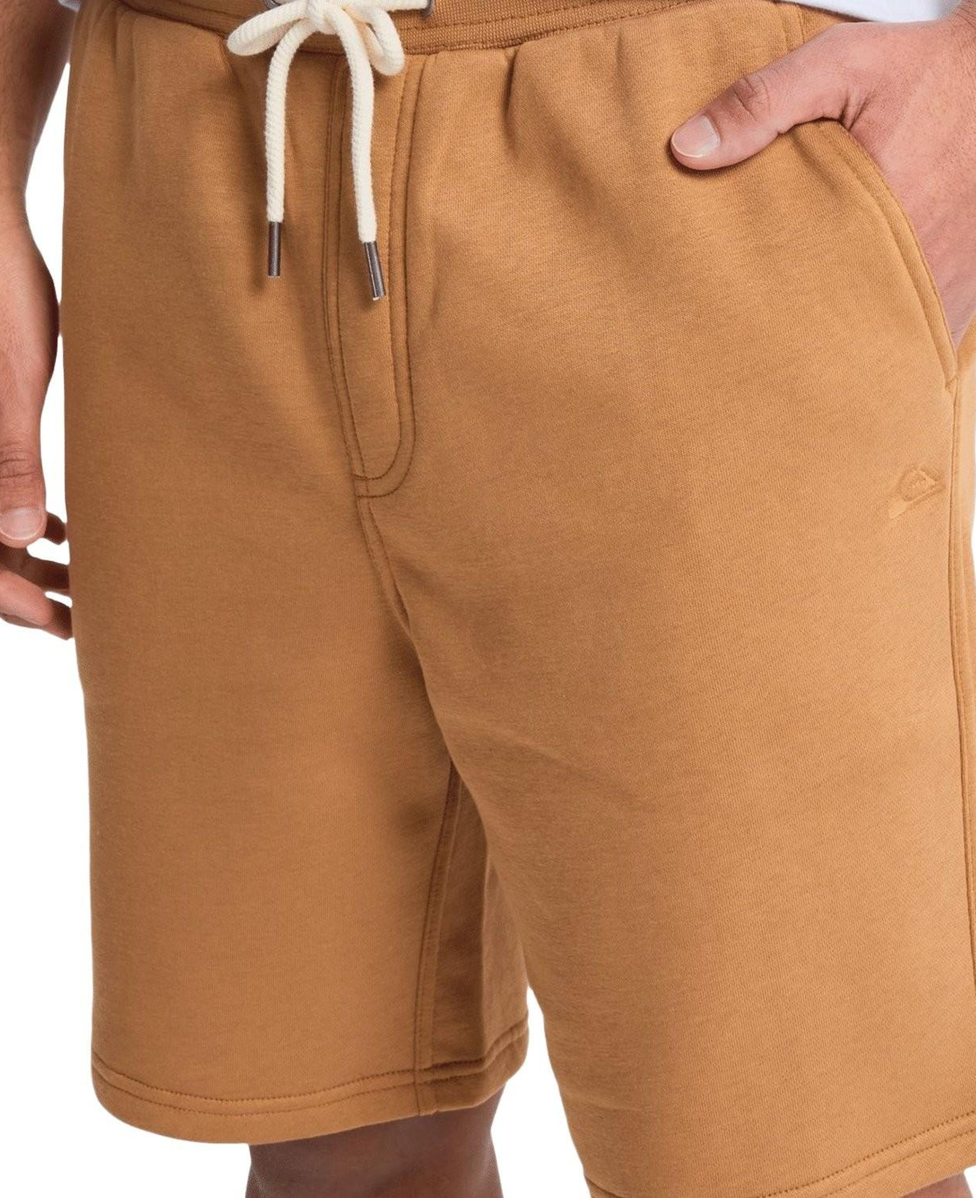 Quiksilver Salt Water Shor Erkek Kahverengi Şort