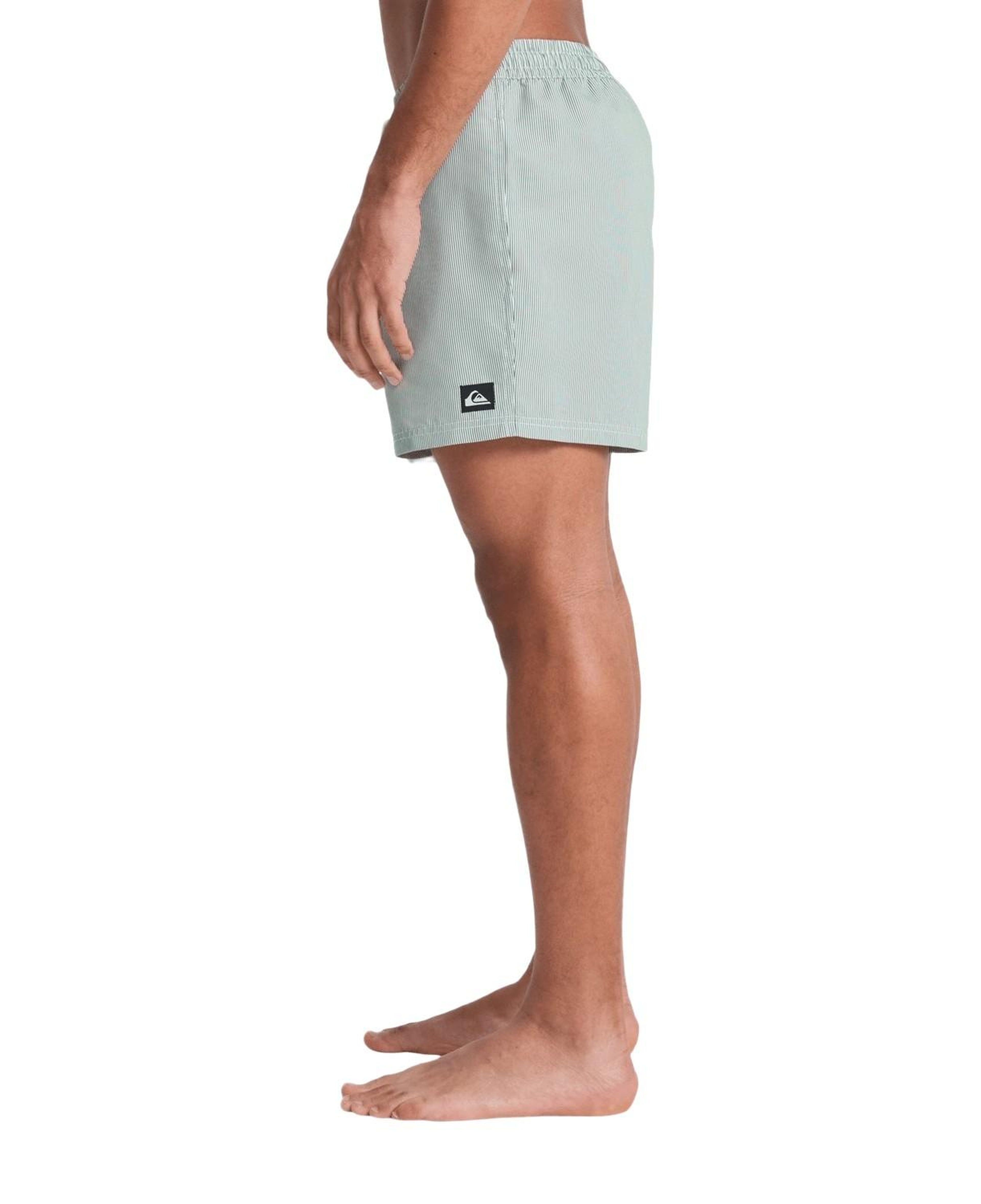 Quiksilver Deluxe 15 Erkek Yeşil Volley Short