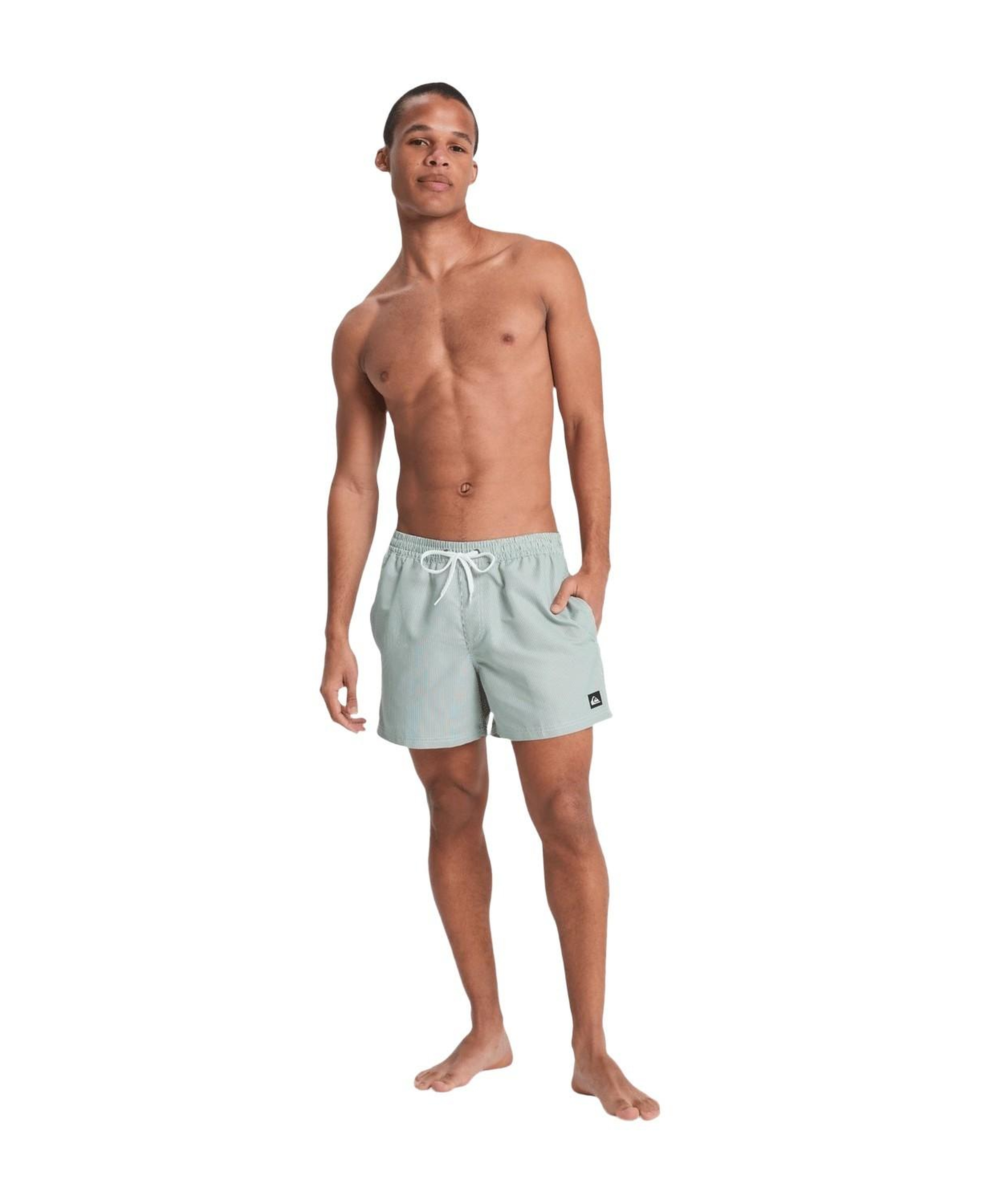 Quiksilver Deluxe 15 Erkek Yeşil Volley Short