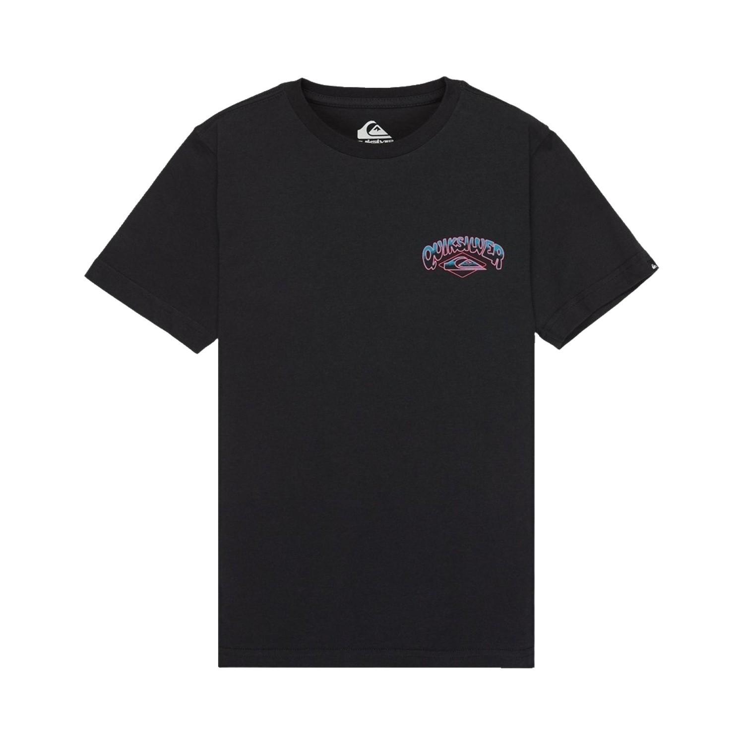 Quiksilver Palm Horizon Erkek Çocuk Siyah Tişört