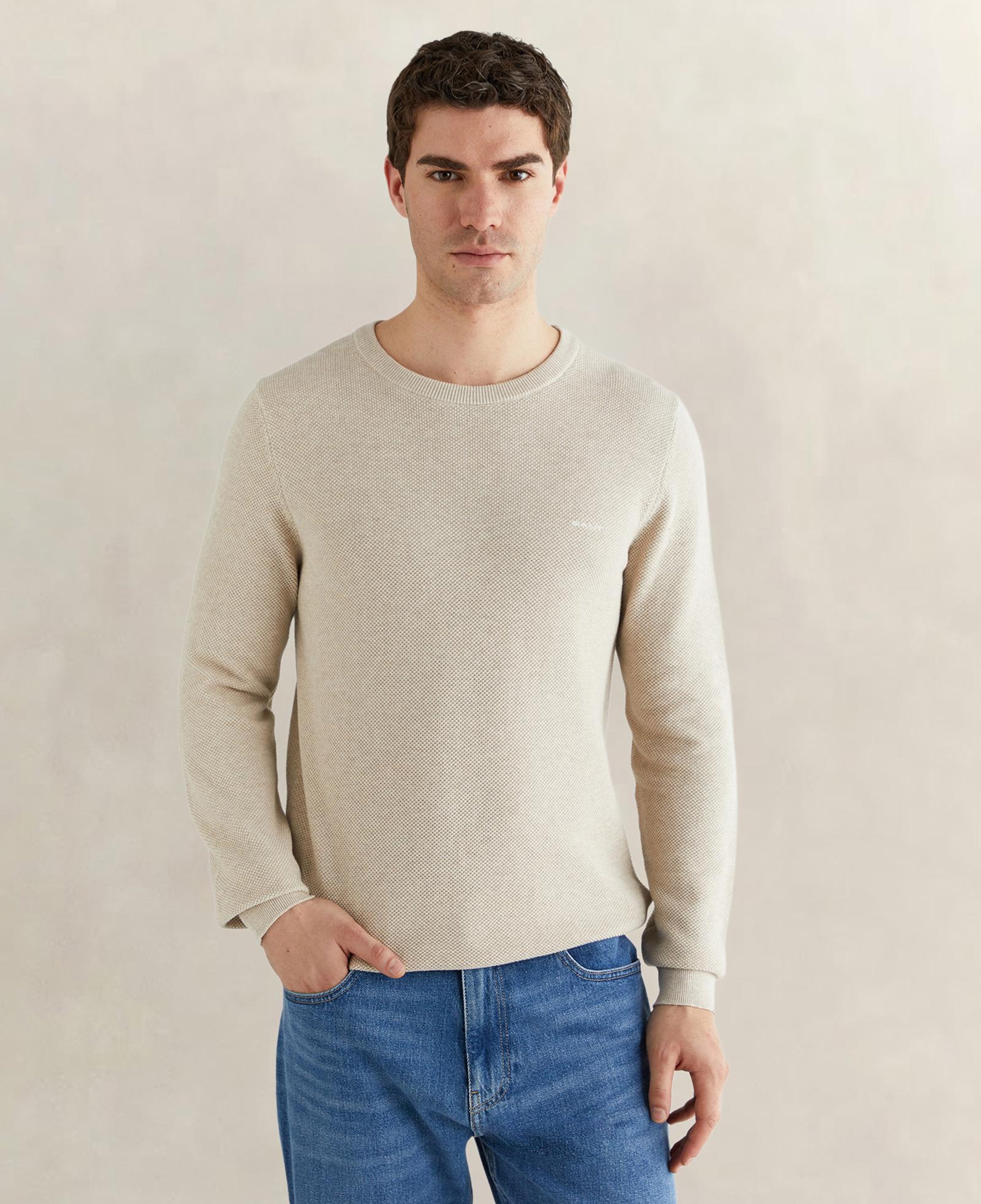 GANT Erkek Bej Regular Fit Bisiklet Yaka Triko