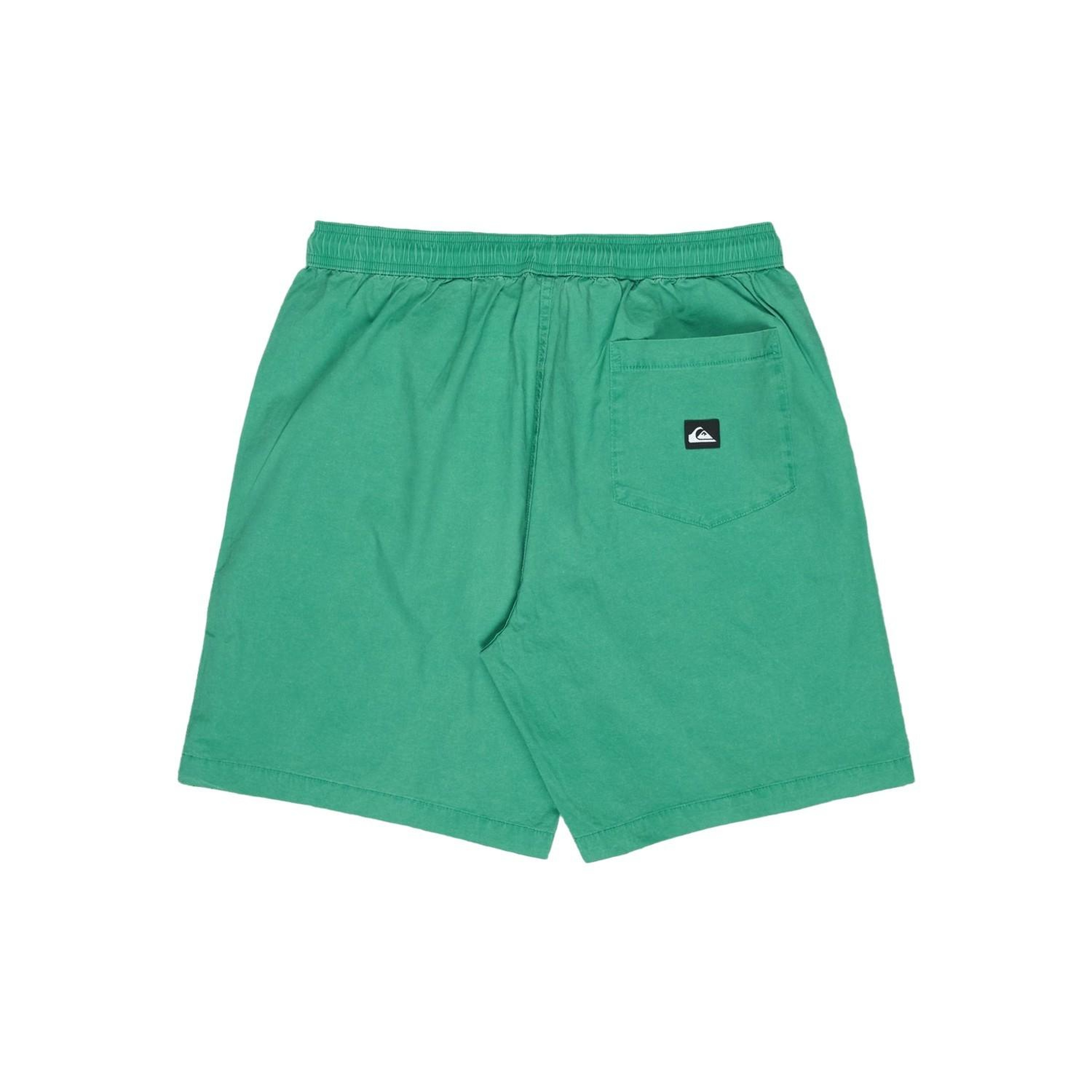 Quiksilver Taxerws Erkek Yeşil Şort