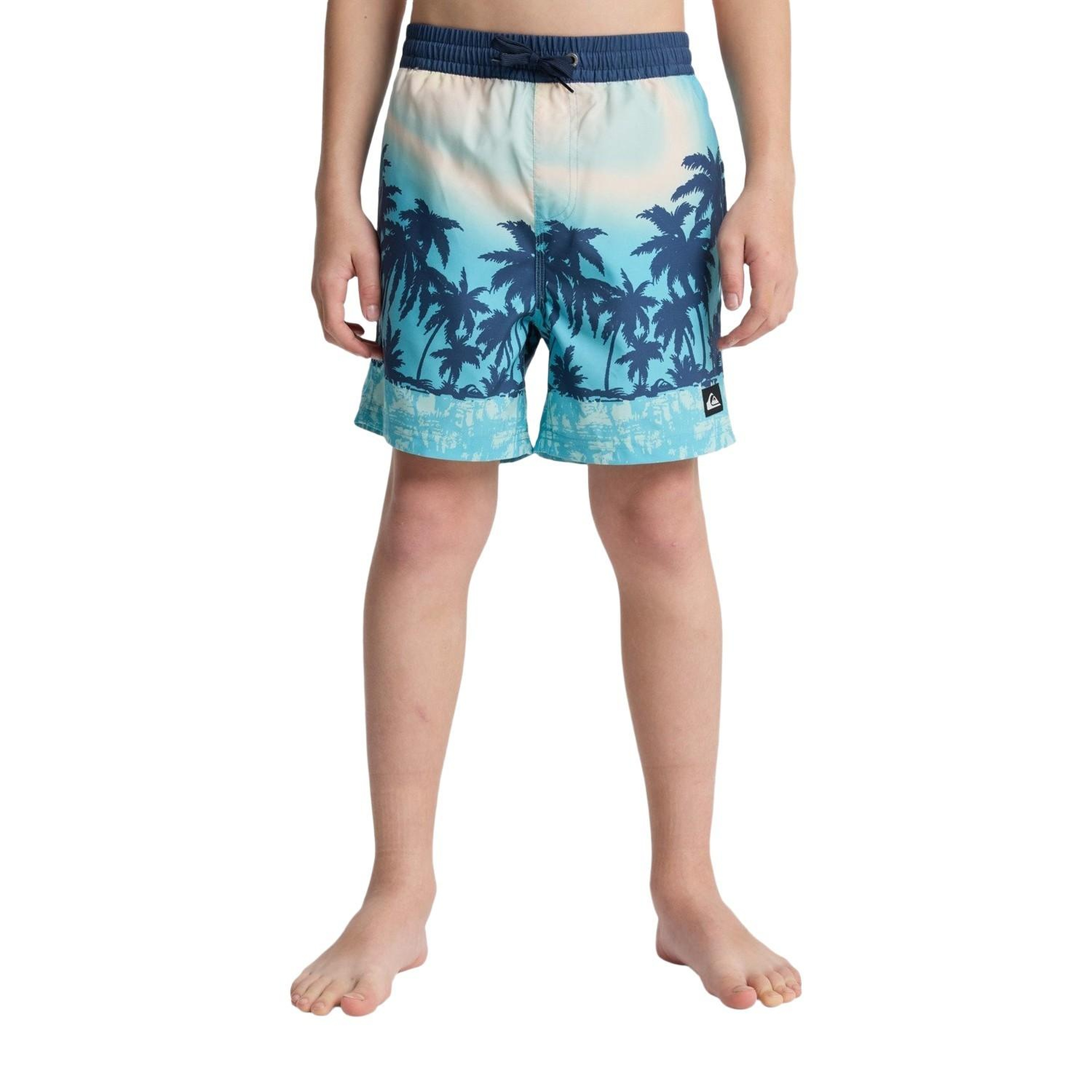 Quiksilver Evd Printed Erkek Çocuk Mavi Volley Short