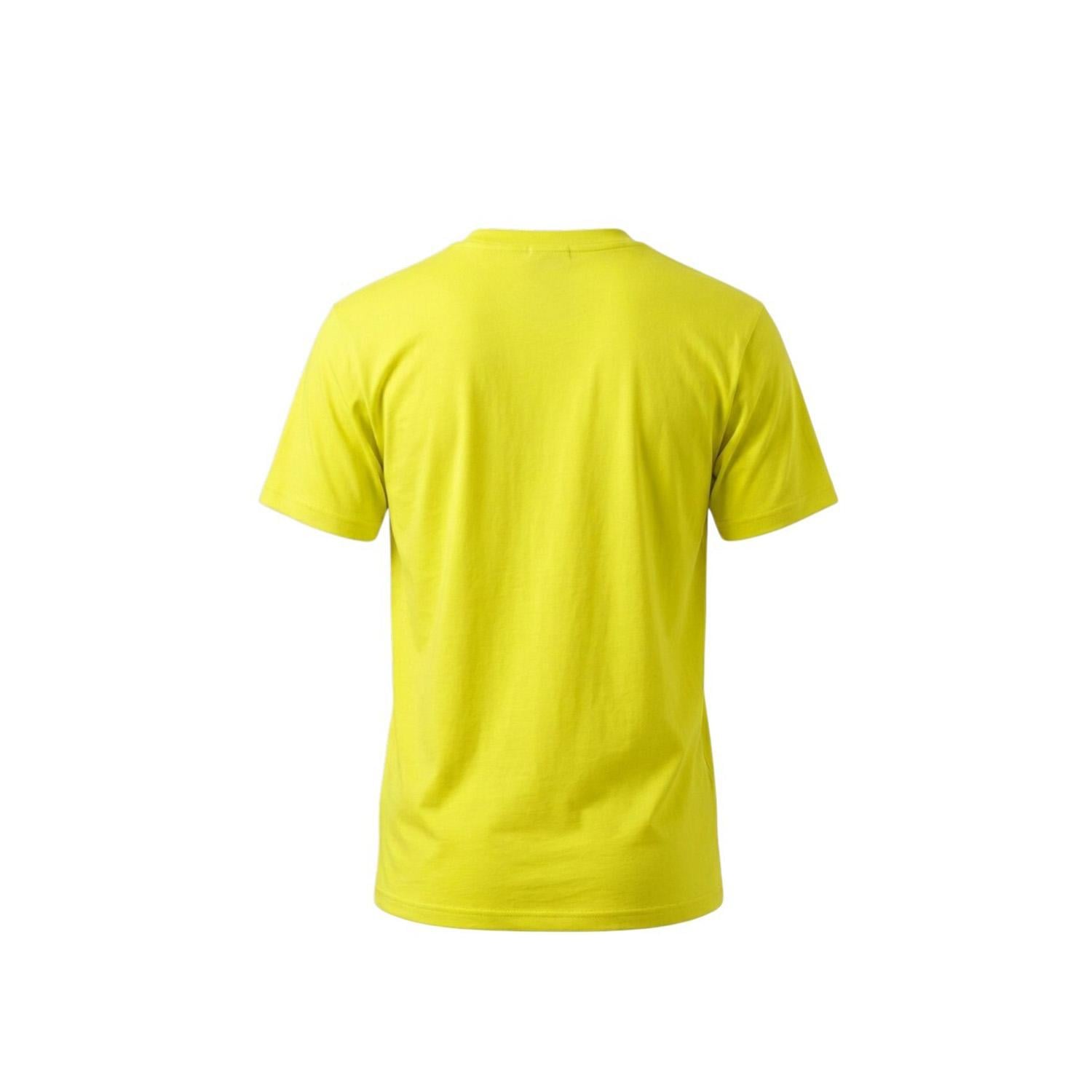 Quiksilver Malibu Erkek Sarı Tişört