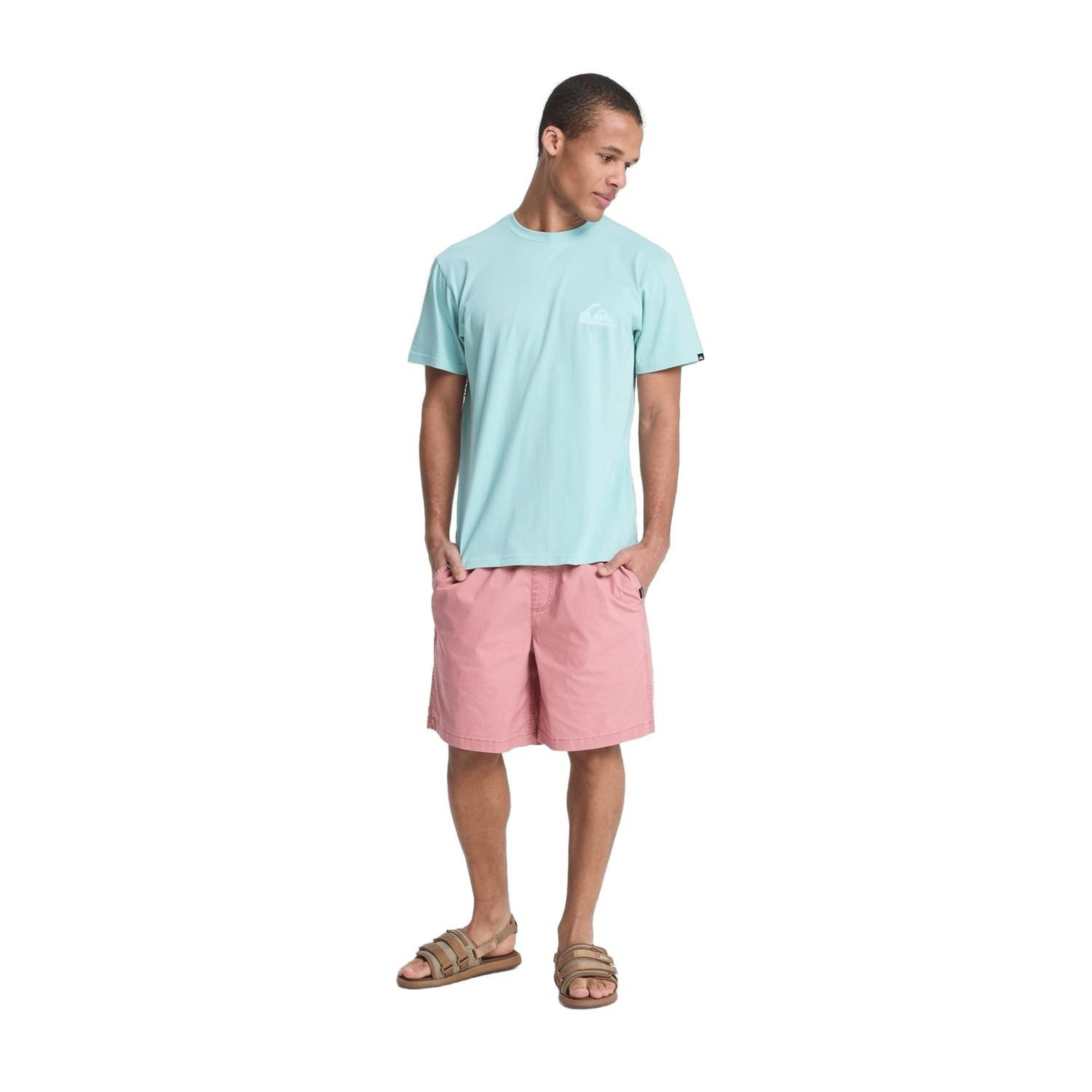 Quiksilver Taxerws Erkek Pembe Şort
