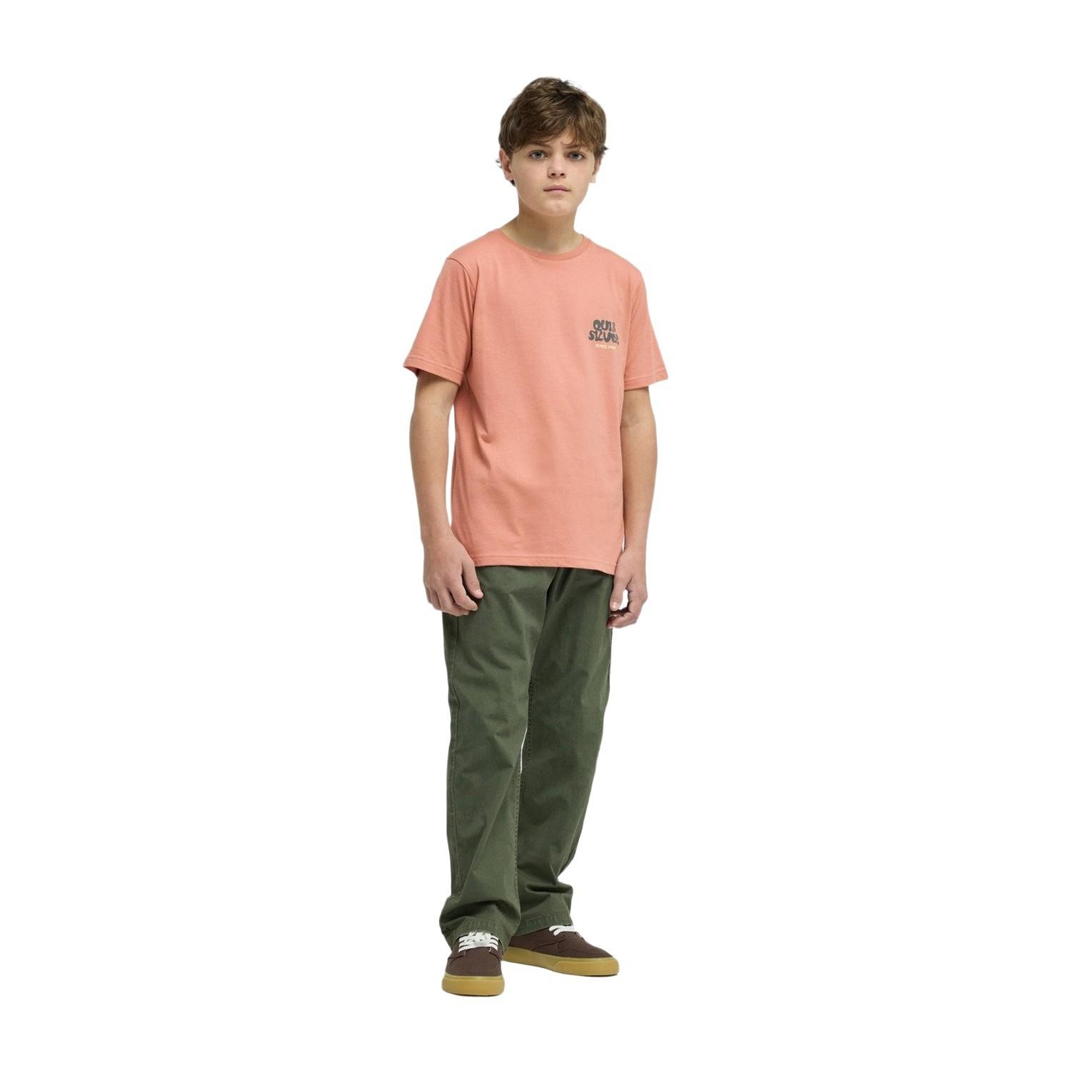 Quiksilver Fruits Tide Erkek Çocuk Pembe Tişört