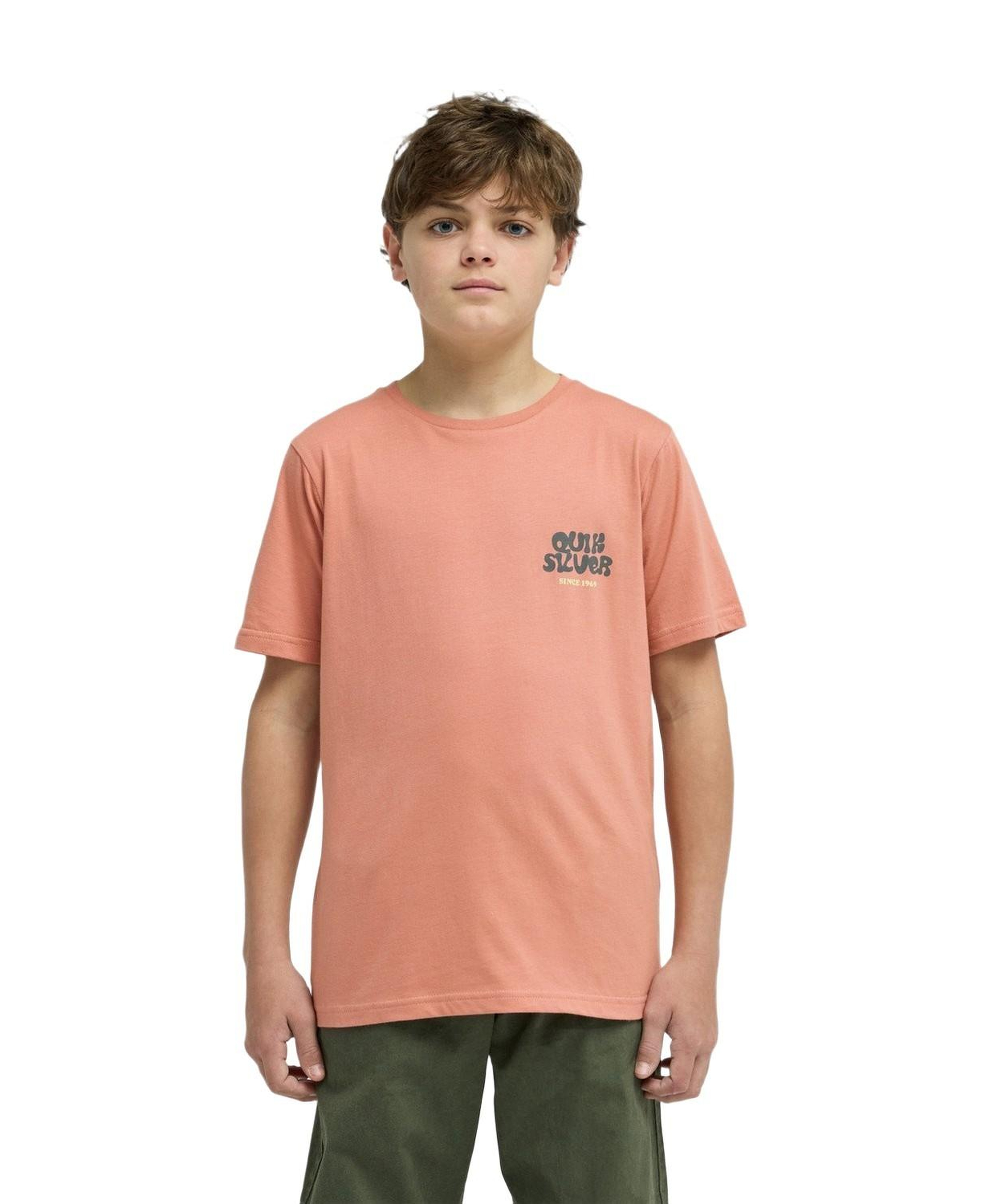 Quiksilver Fruits Tide Erkek Çocuk Pembe Tişört