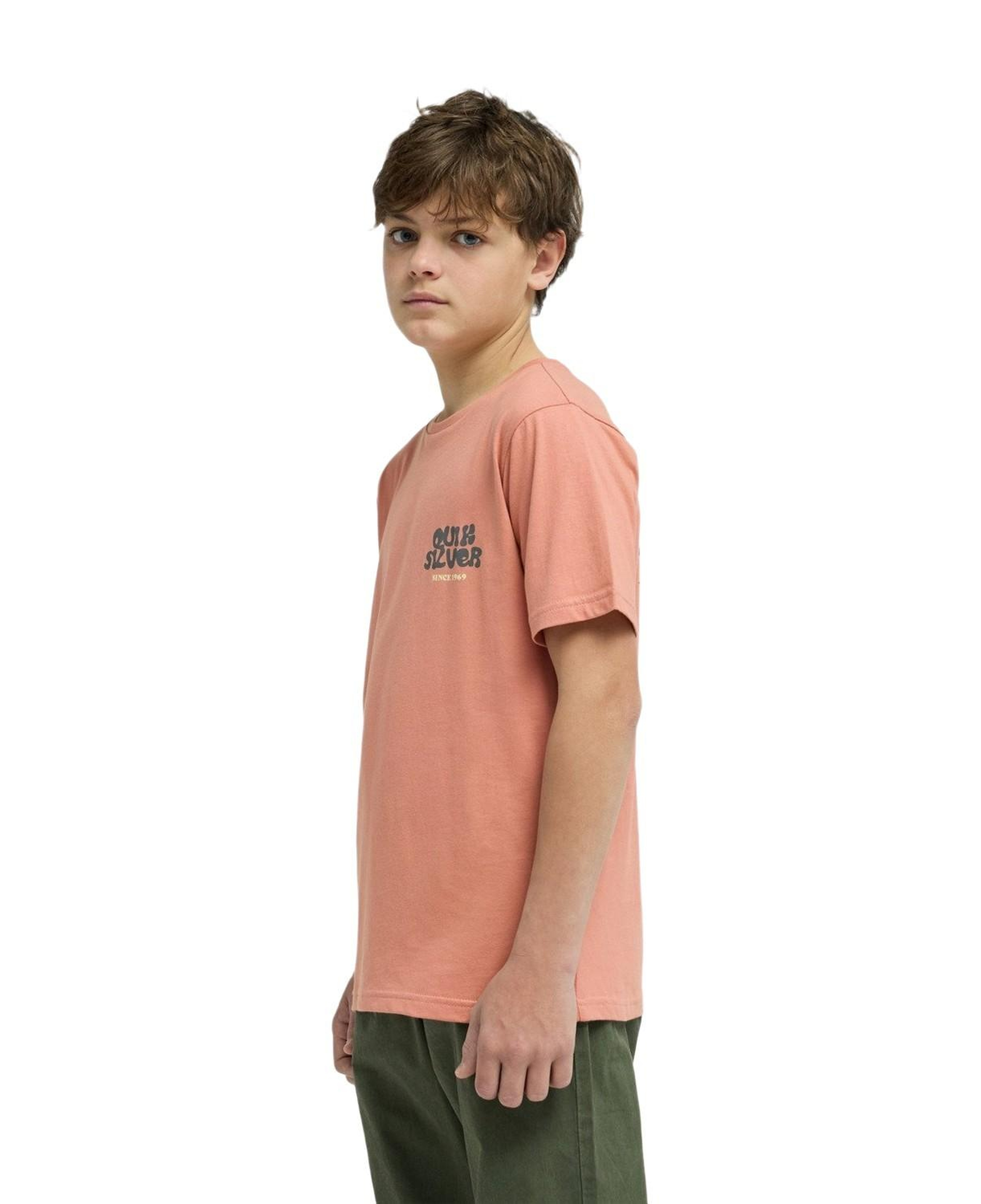 Quiksilver Fruits Tide Erkek Çocuk Pembe Tişört