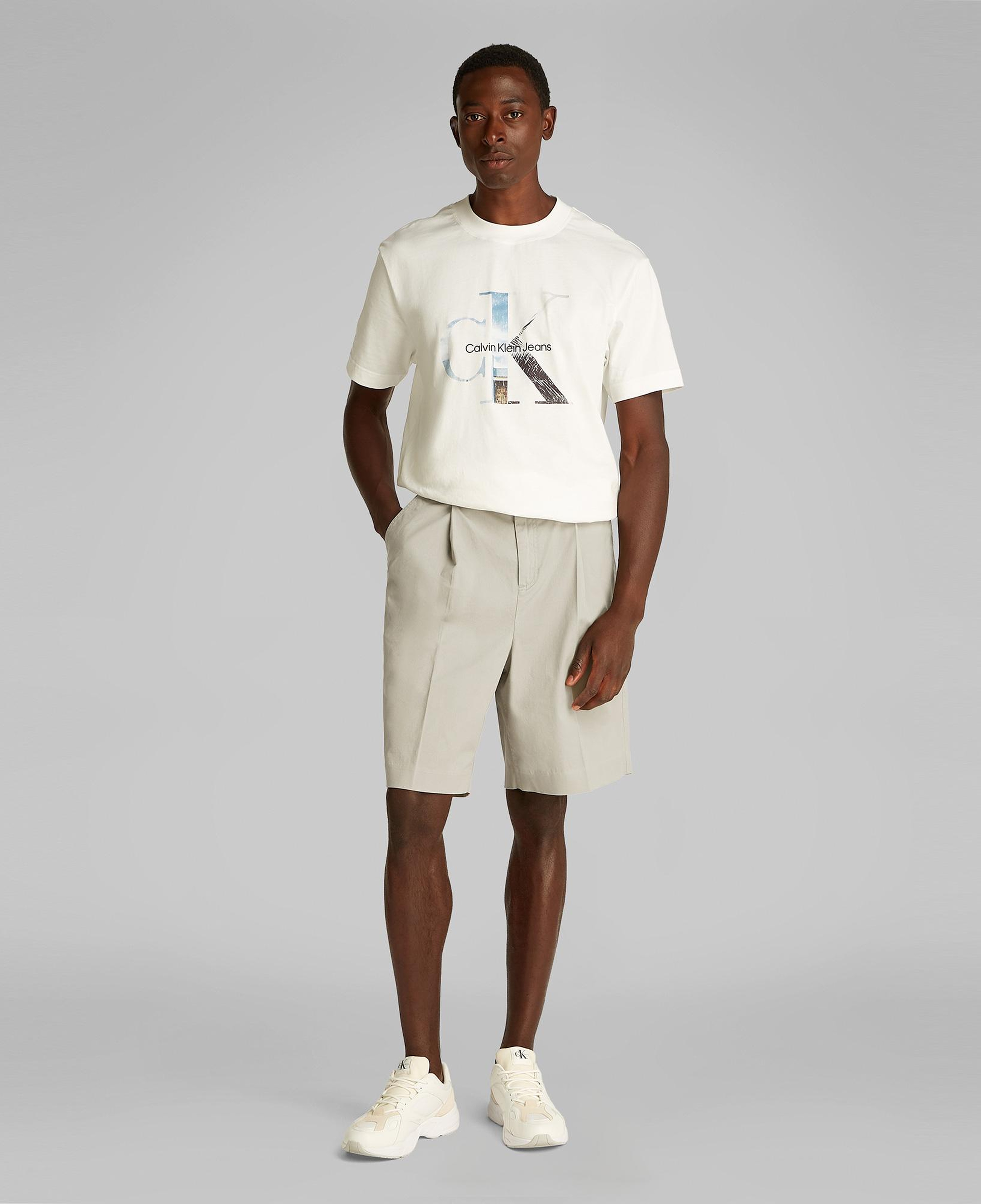 Calvin Klein Bermuda Erkek Gri Şort