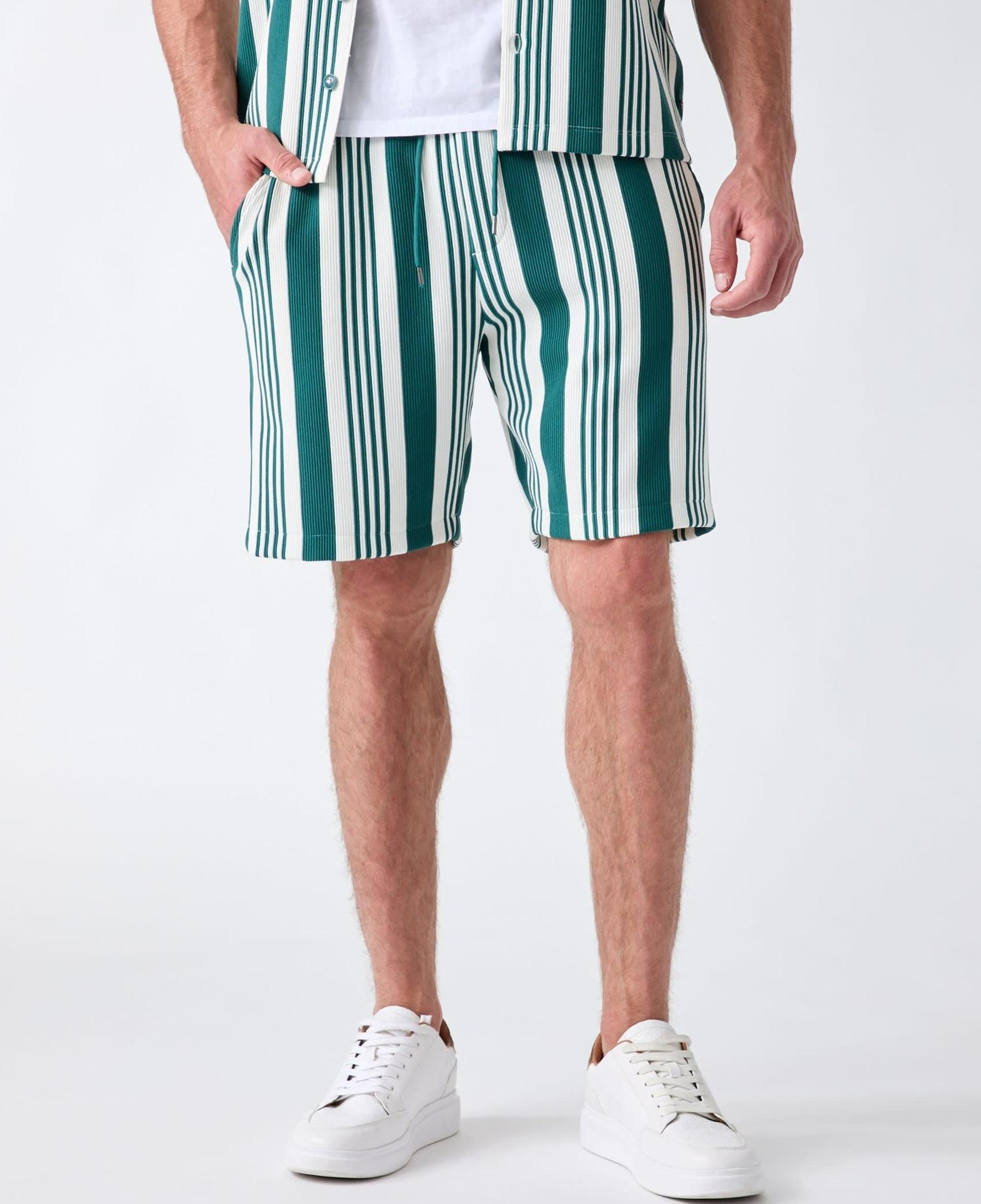 Arin Erkek Regular Fit Şort