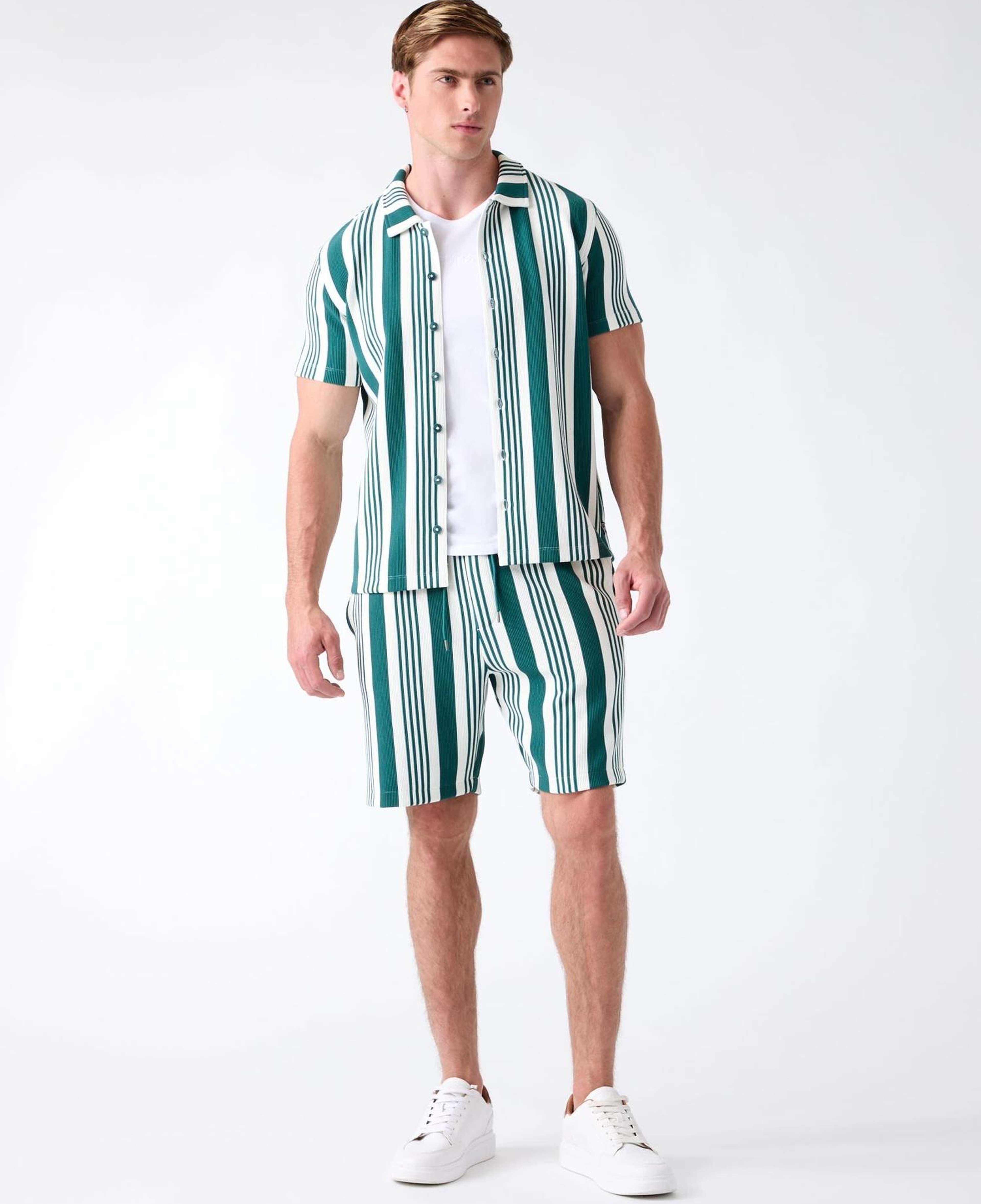 Arin Erkek Regular Fit Şort