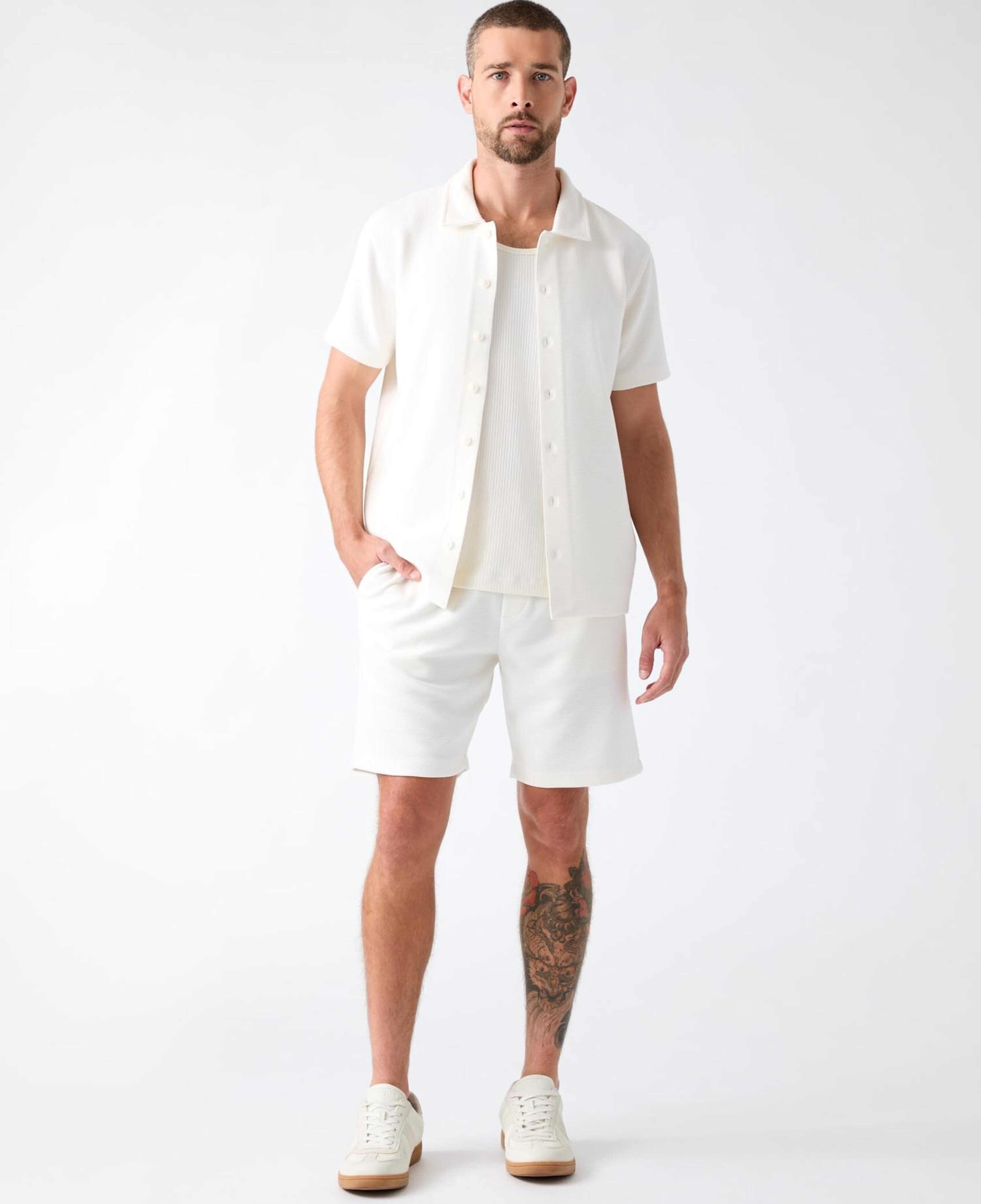 Arin Erkek Regular Fit Şort