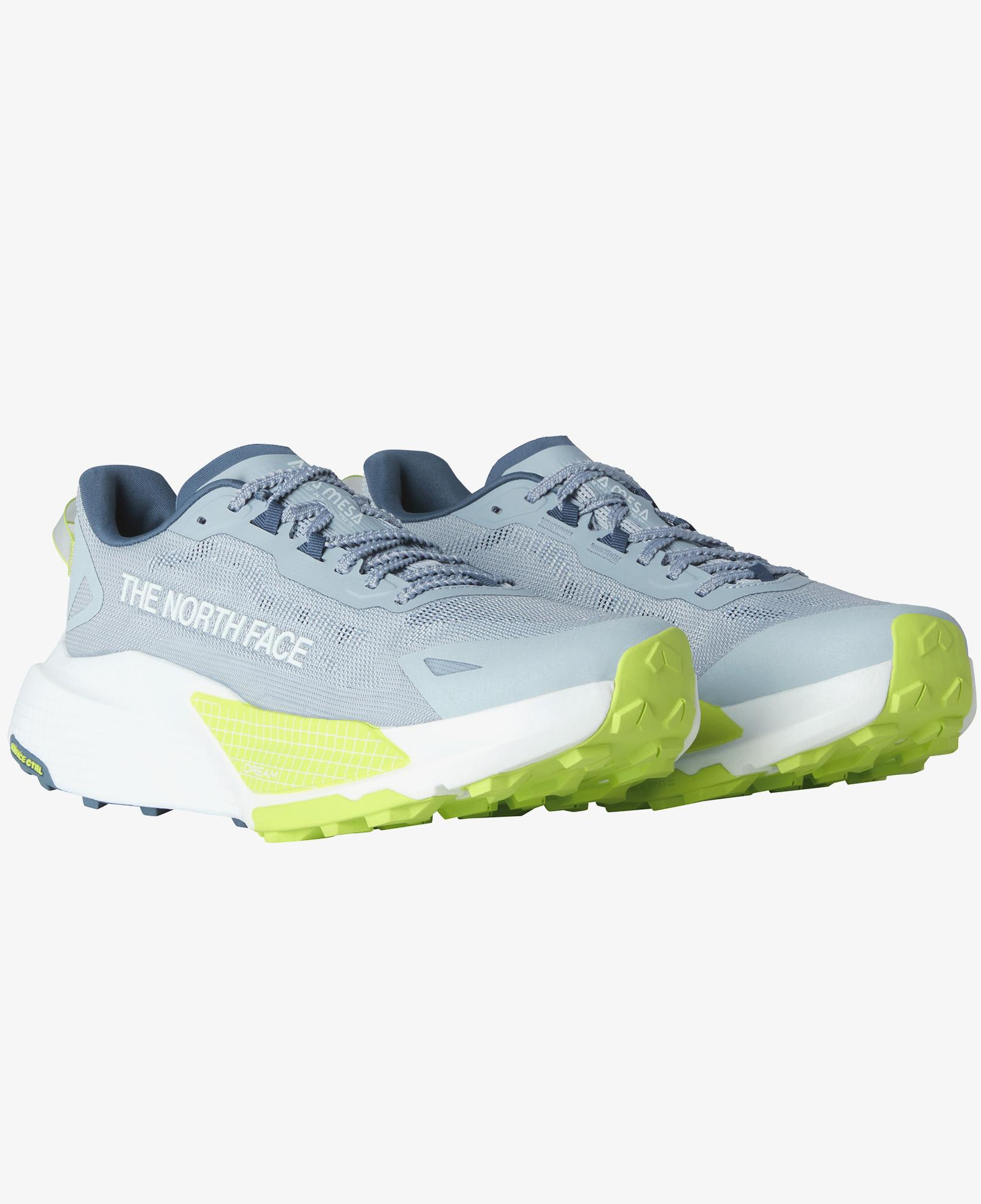 The North Face Altamesa 500 V2 Erkek Gri Koşu Ayakkabısı