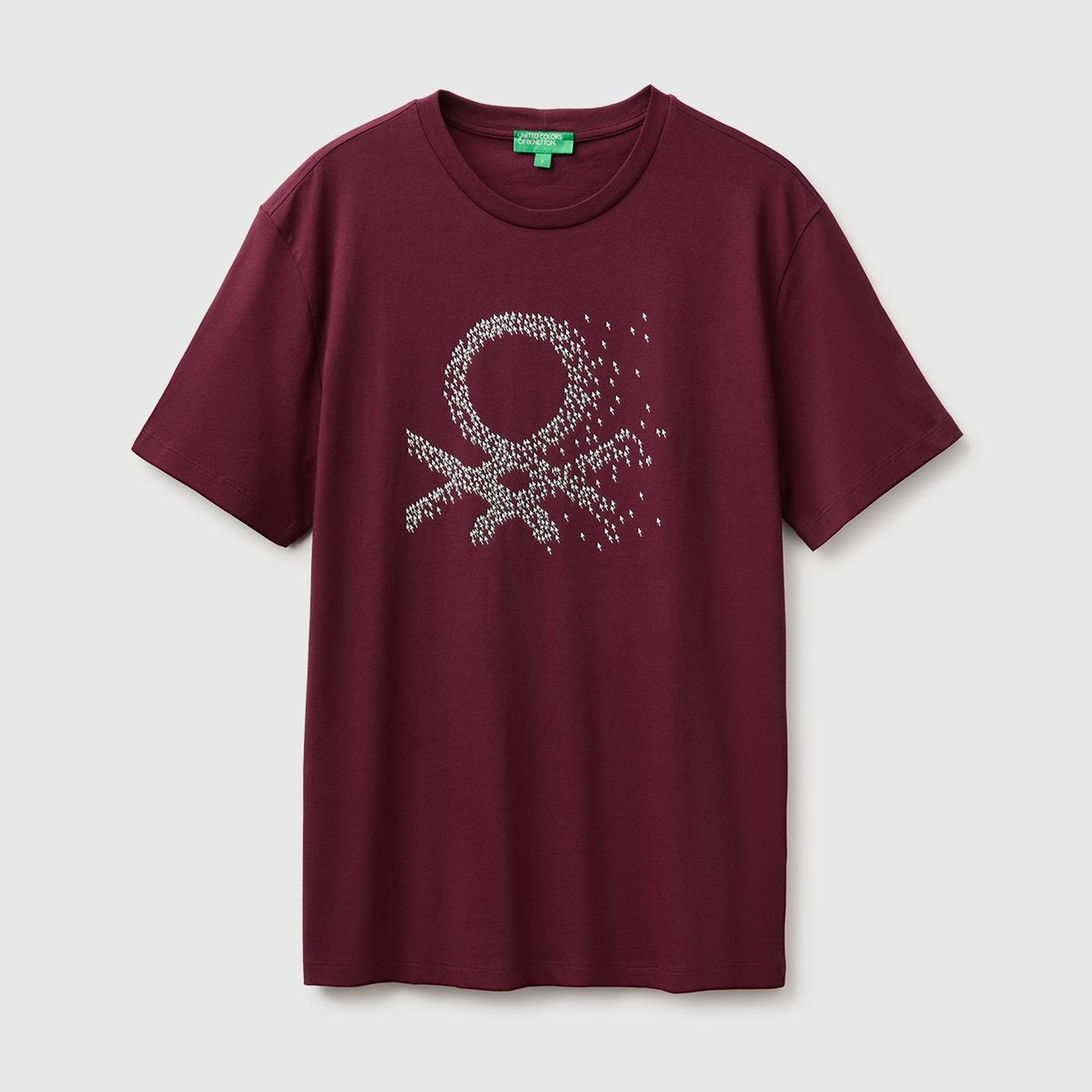 Erkek Mürdüm %100 Pamuk Önü Logo Baskılı Regular Fit Kısa Kollu T-Shirt