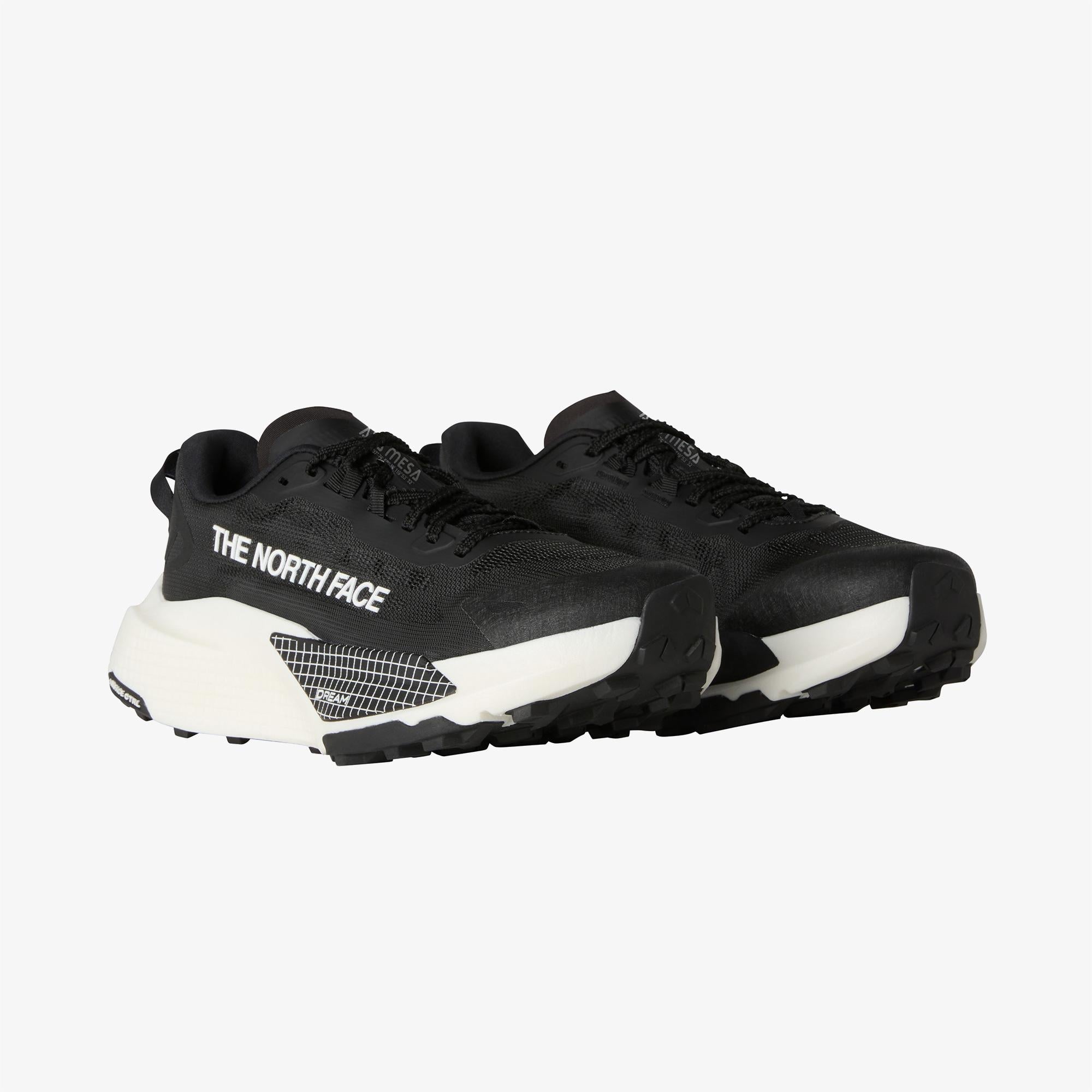 The North Face Altamesa 500 V2 Kadın Siyah Koşu Ayakkabısı