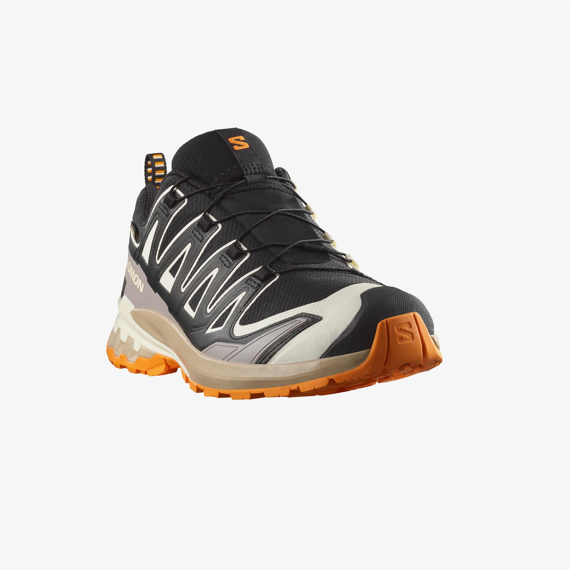 Salomon Xa Pro 3D V9 Gore-Tex Erkek Siyah Outdoor Ayakkabı