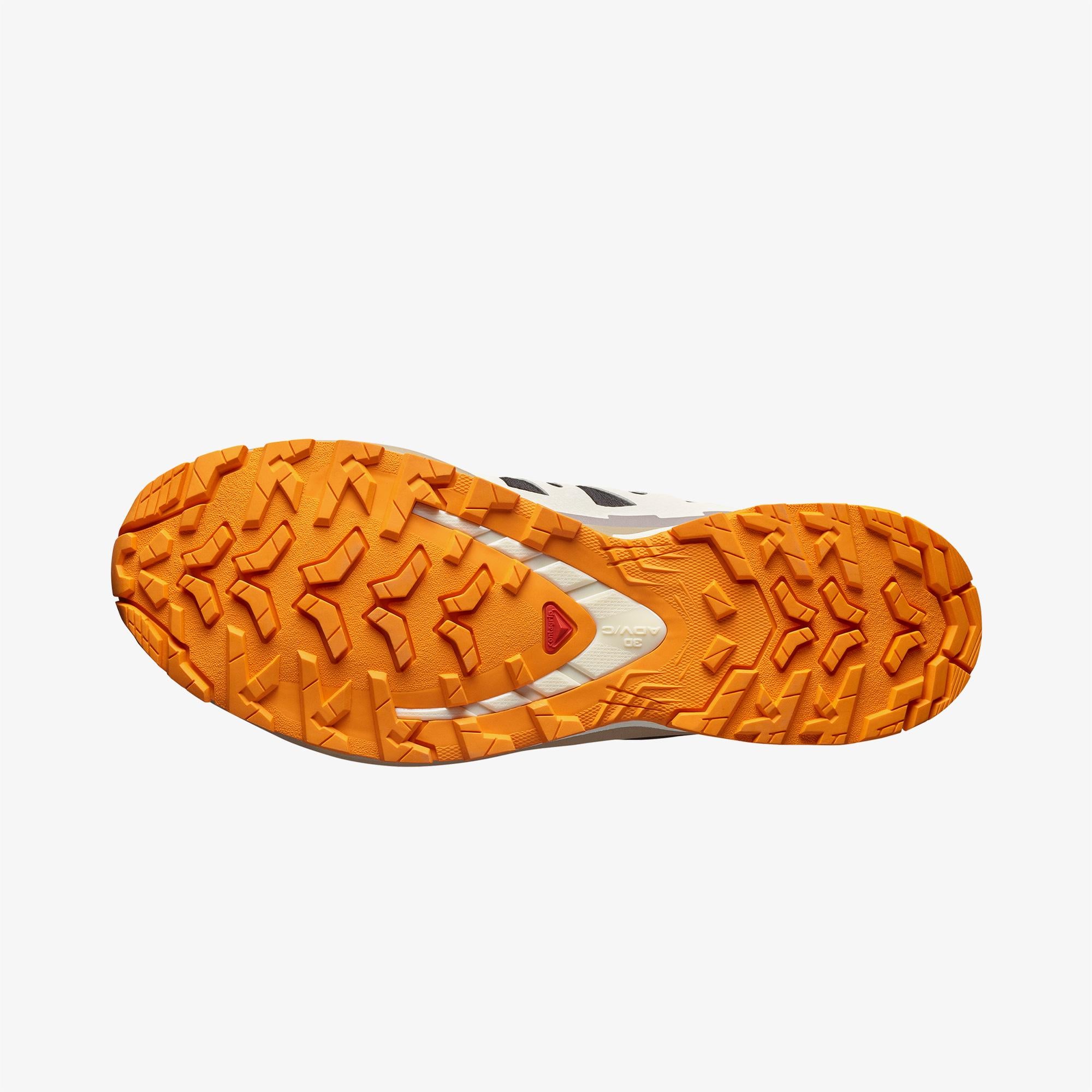Salomon Xa Pro 3D V9 Gore-Tex Erkek Siyah Outdoor Ayakkabı