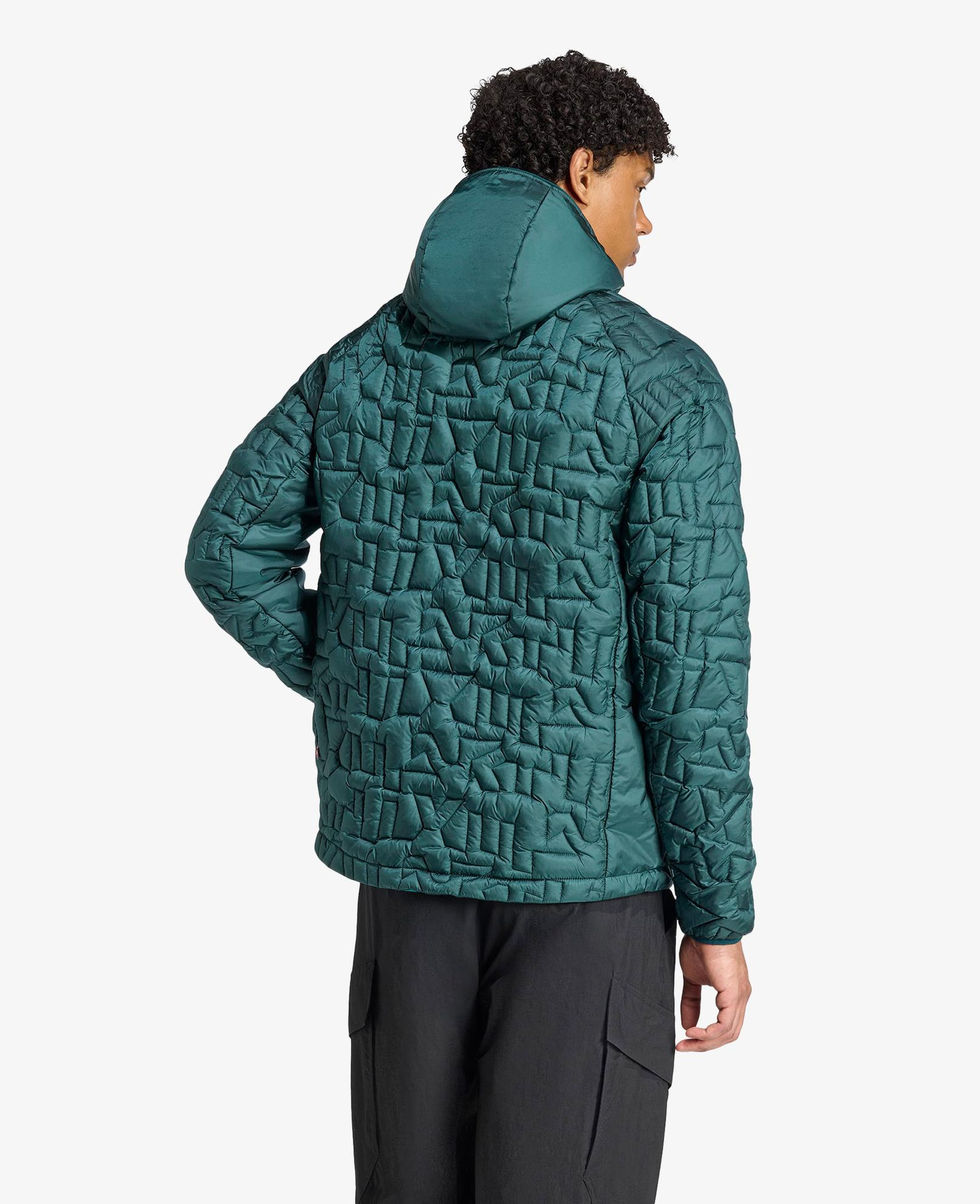 adidas Terrex Xperior Primaloft Loose Fill insulated Kapüşonlu Erkek Yeşil Yürüyüş Montu