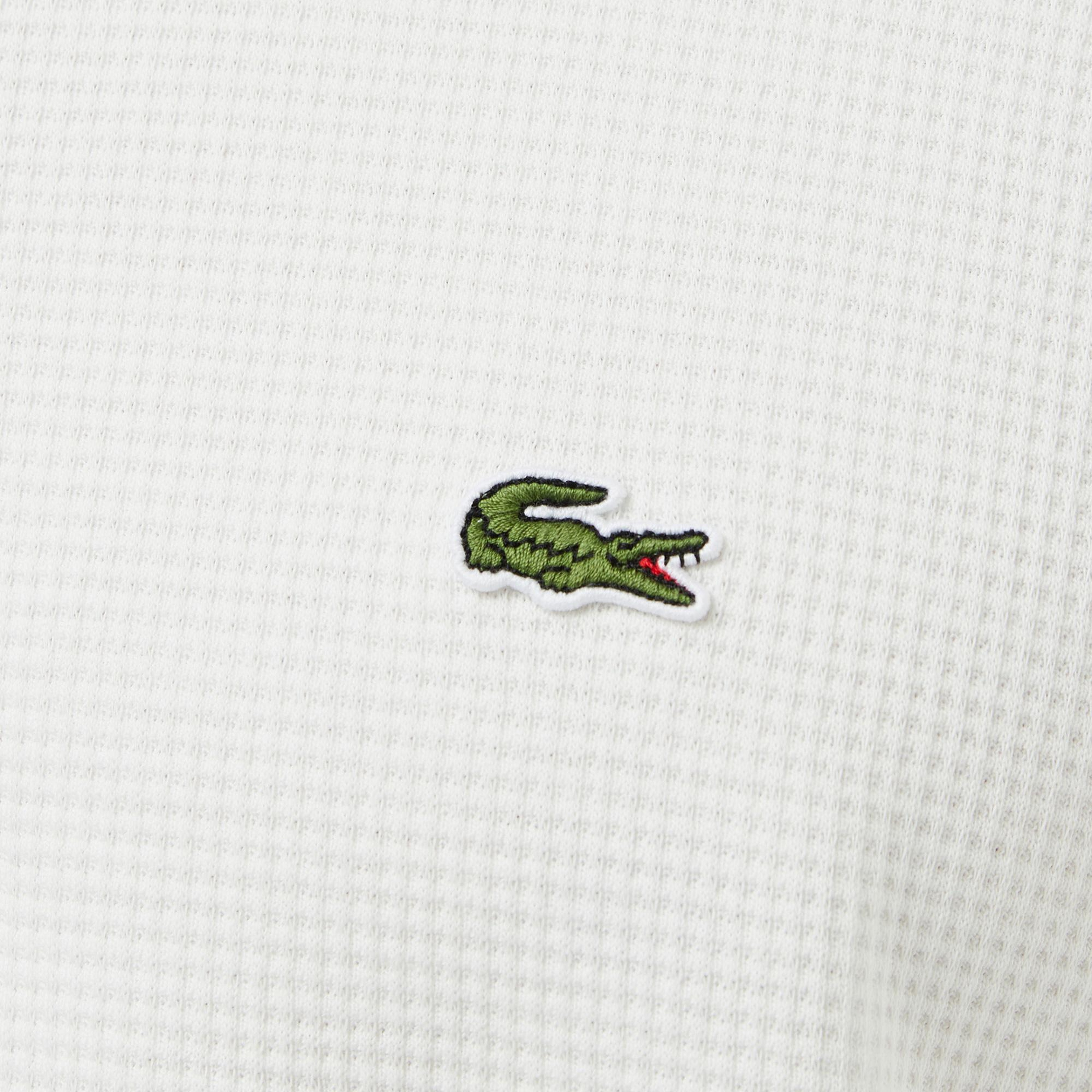 Lacoste Erkek Krem Polo