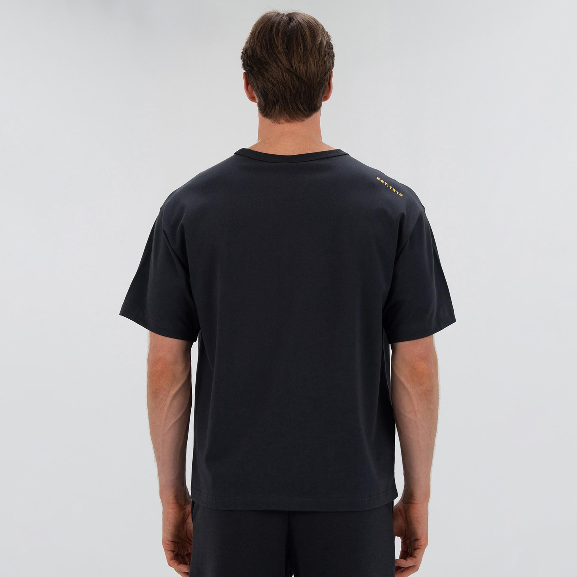 Everlast 1910 Classic Comfort Gri Erkek T-Shirt