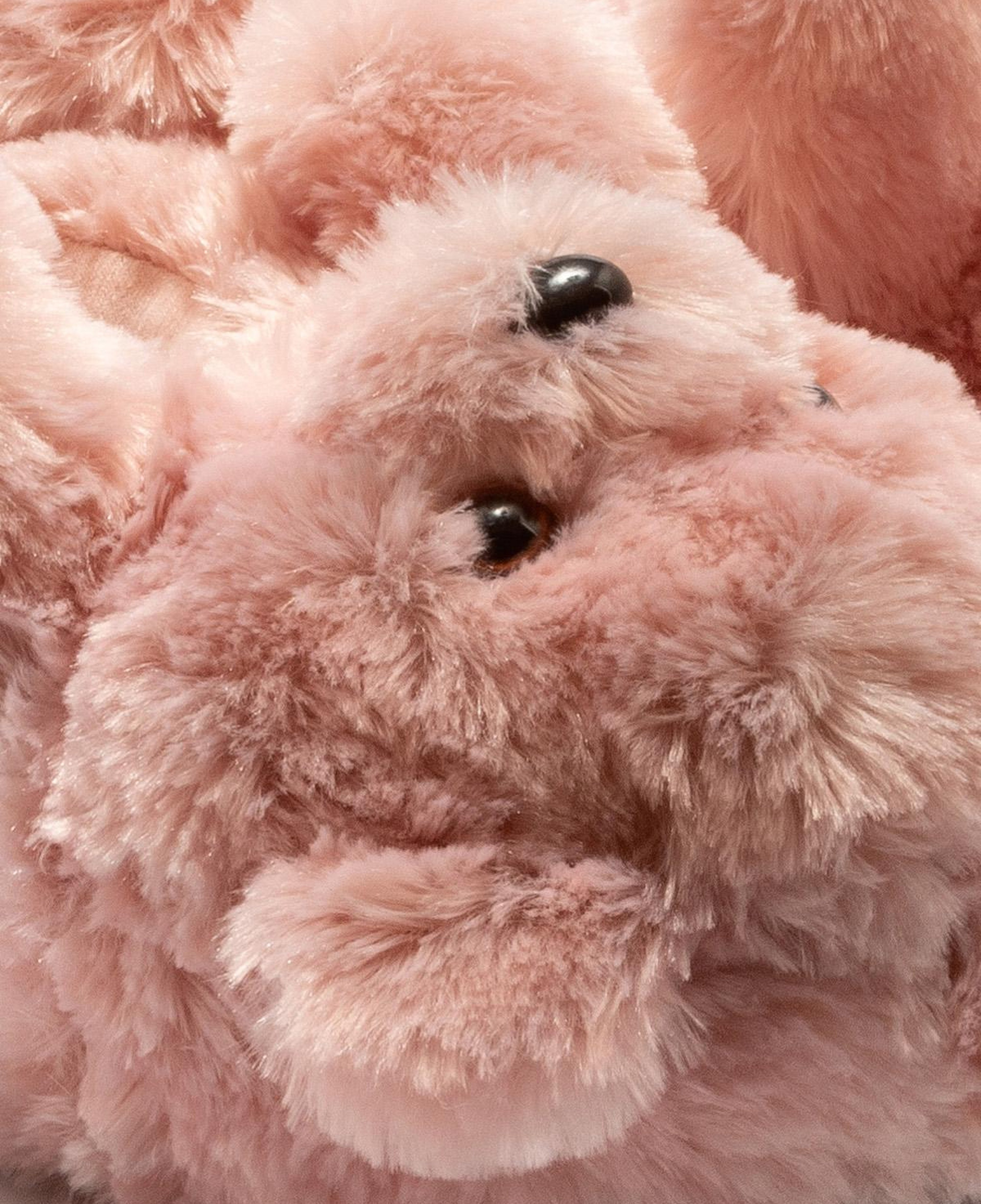 Teddy Kadın Hayvanlı Panduf Gül Kurusu 36/41