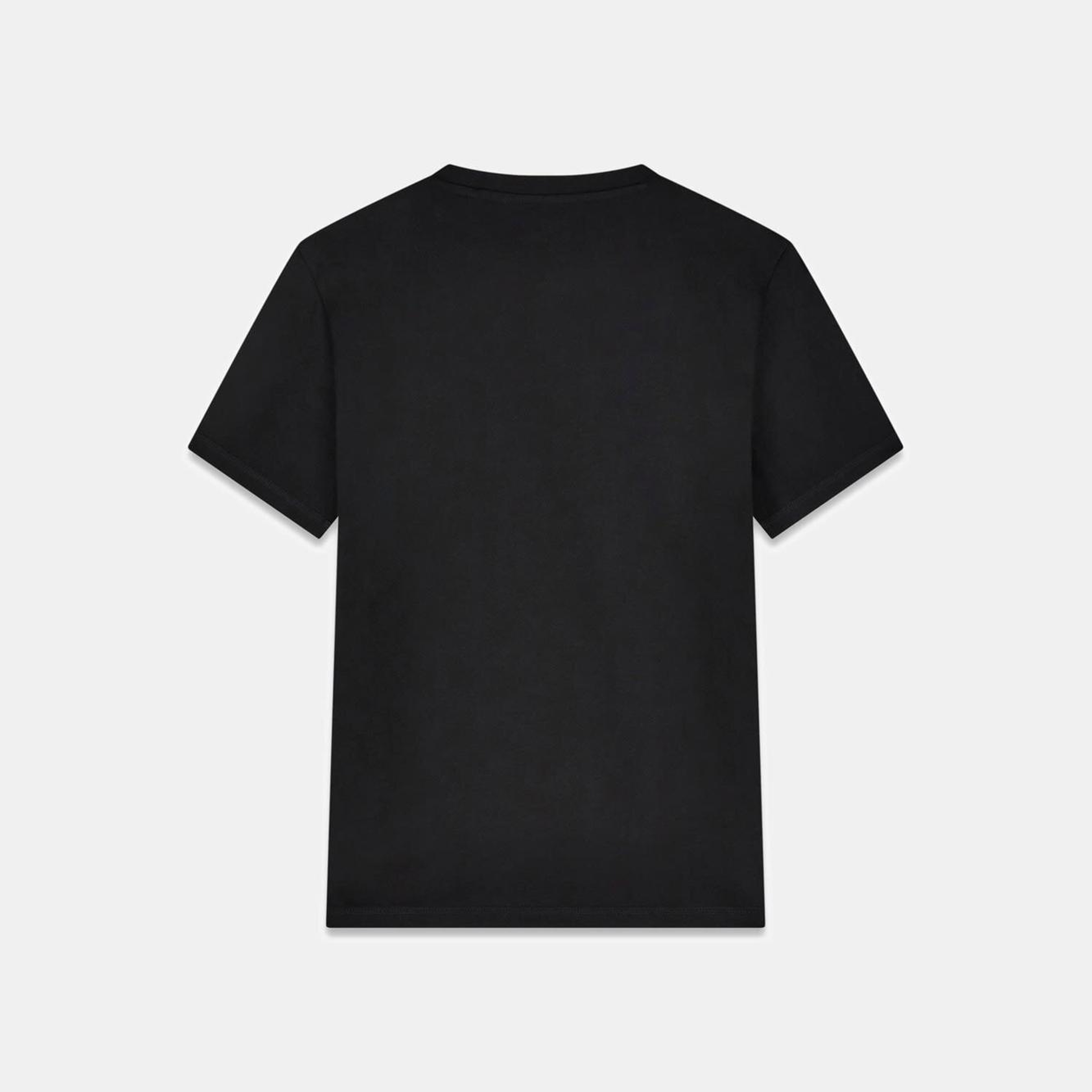 Aidy Erkek Regular Fit T-Shirt