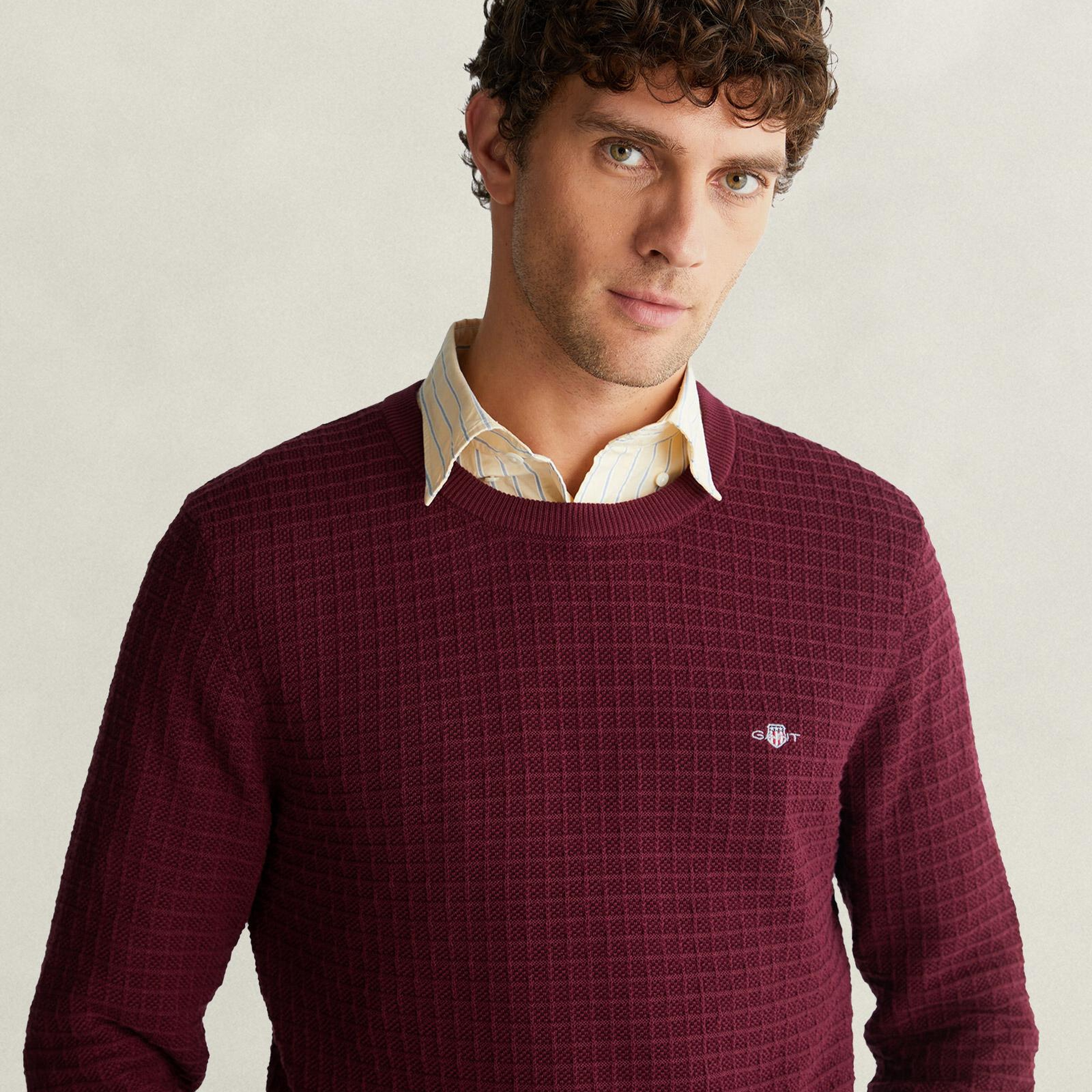 GANT Erkek Pembe Regular Fit Kazak