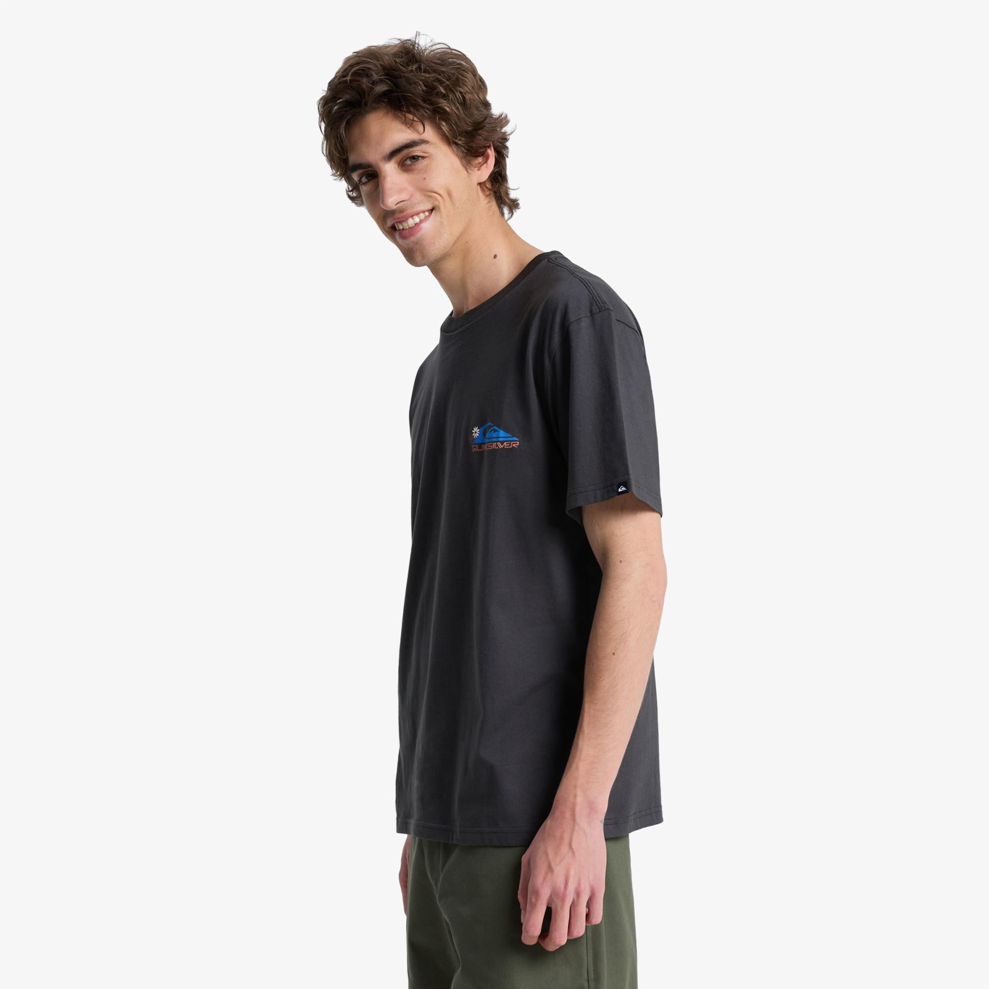 Quiksilver Fruits Tide Erkek Gri T-Shirt