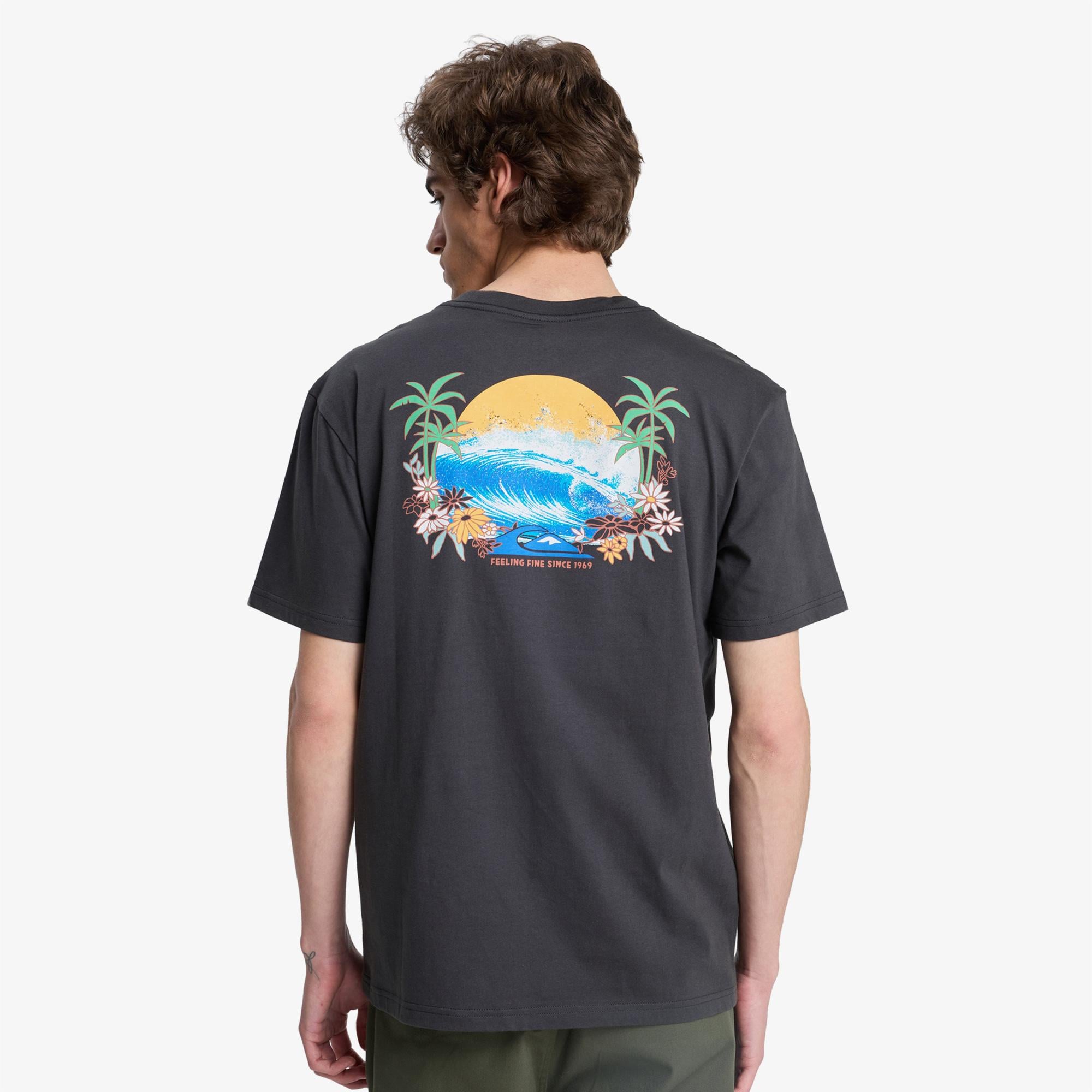 Quiksilver Fruits Tide Erkek Gri T-Shirt