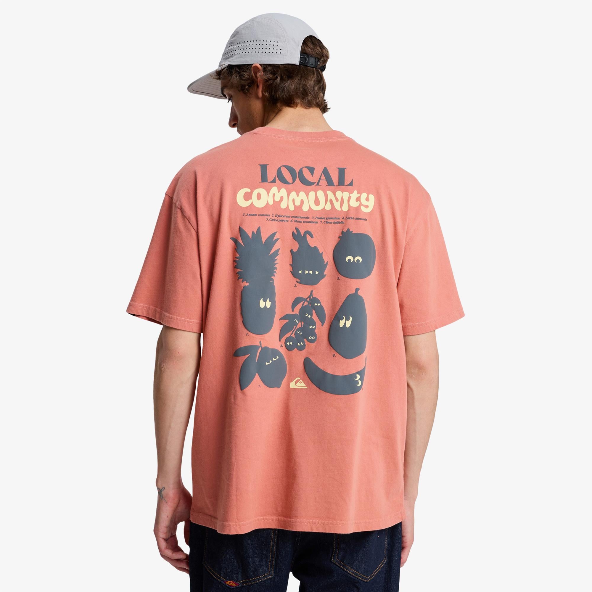 Quiksilver Fruits Tide Erkek Pembe T-Shirt