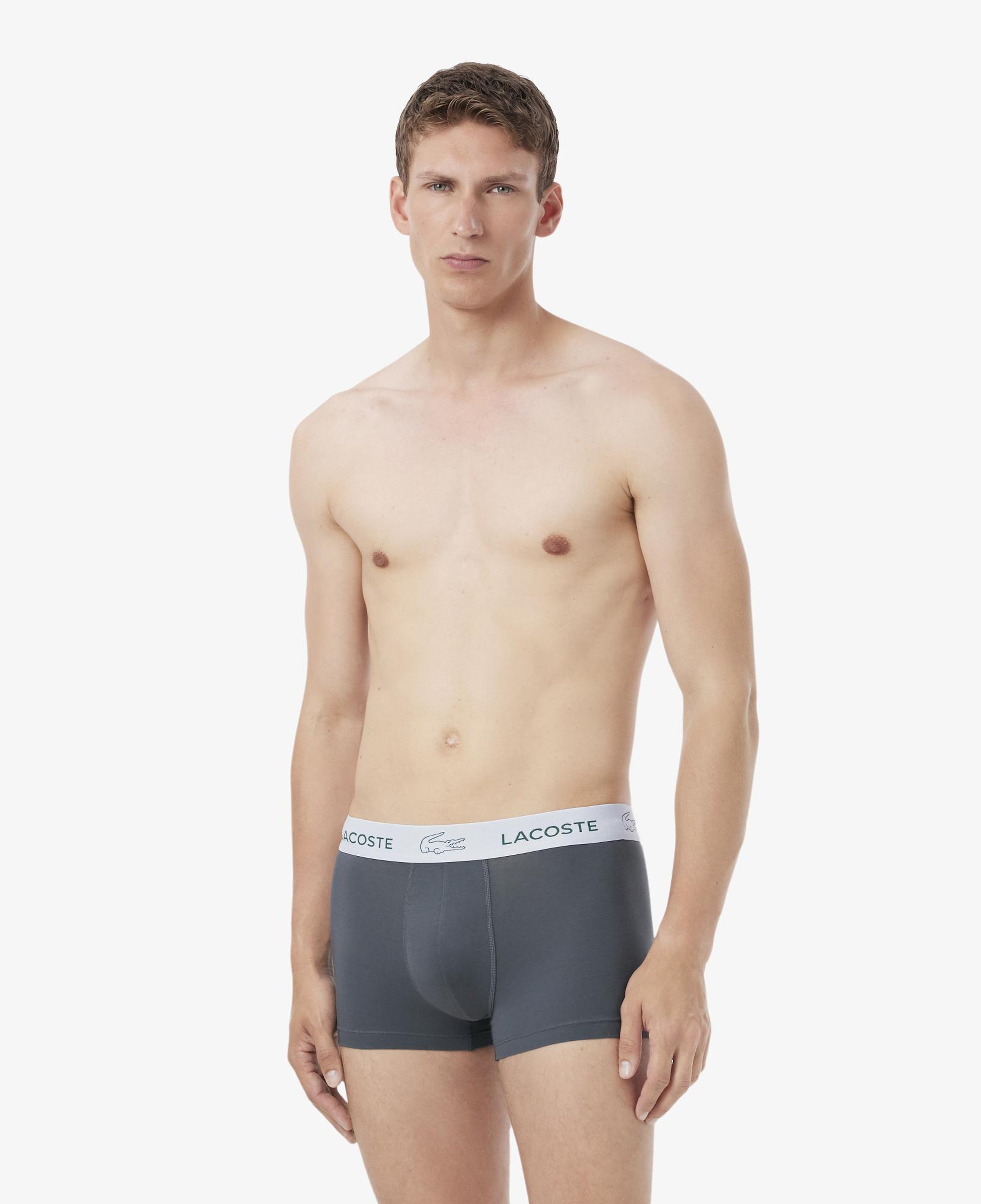 Erkek Regular Fit 3'lü Gri Boxer