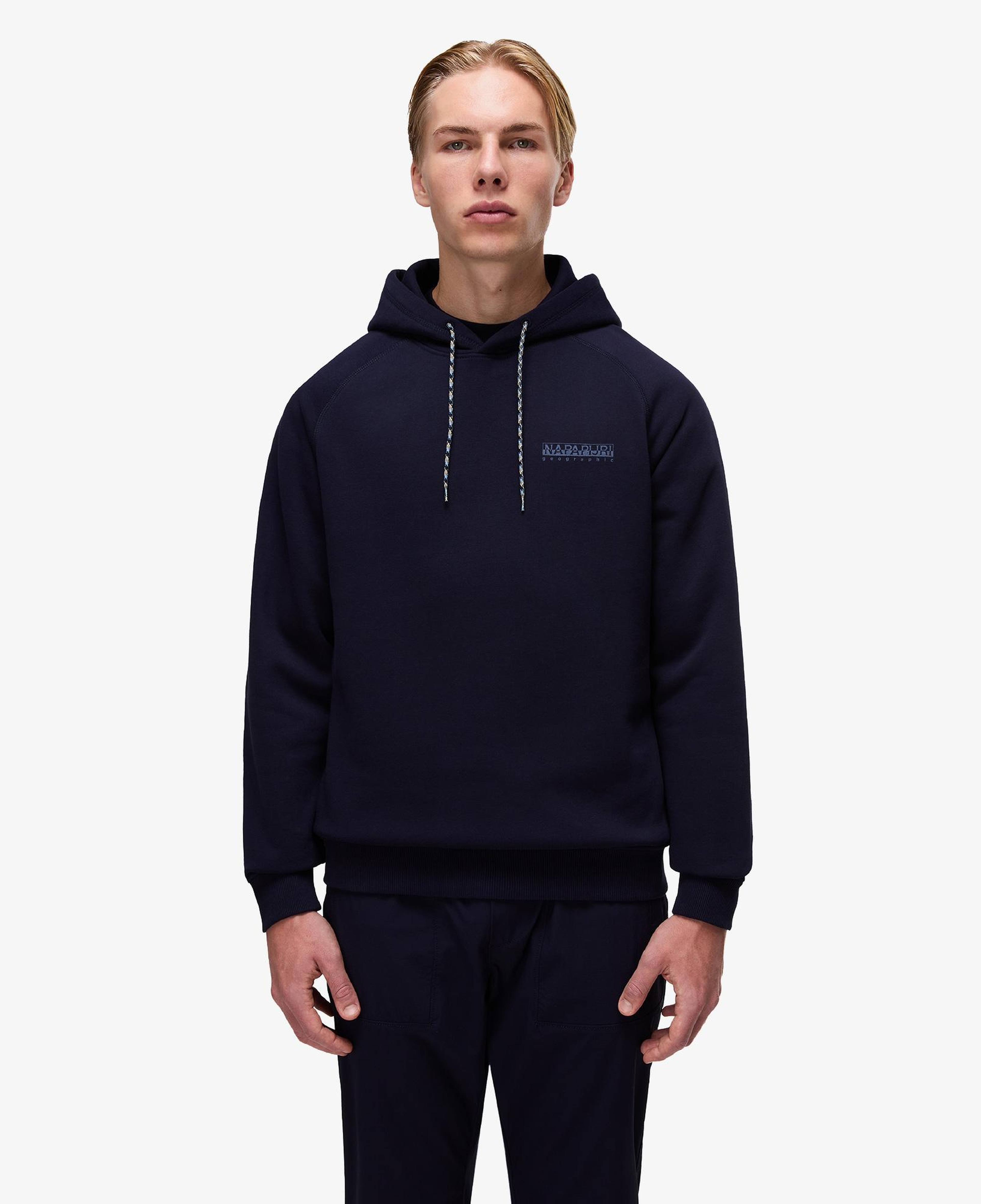 Napapijri B-Back Graphic Erkek Mavi Sweatshirt