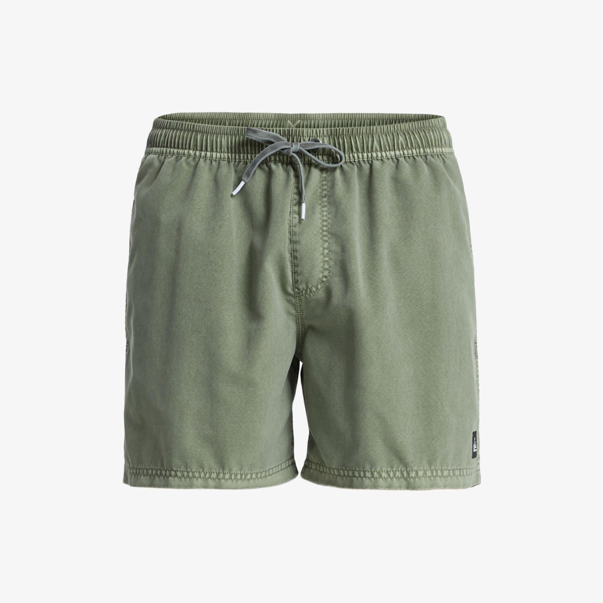 Quiksilver Everyday Surfwash Volley 15 Erkek Yeşil Deniz Şortu
