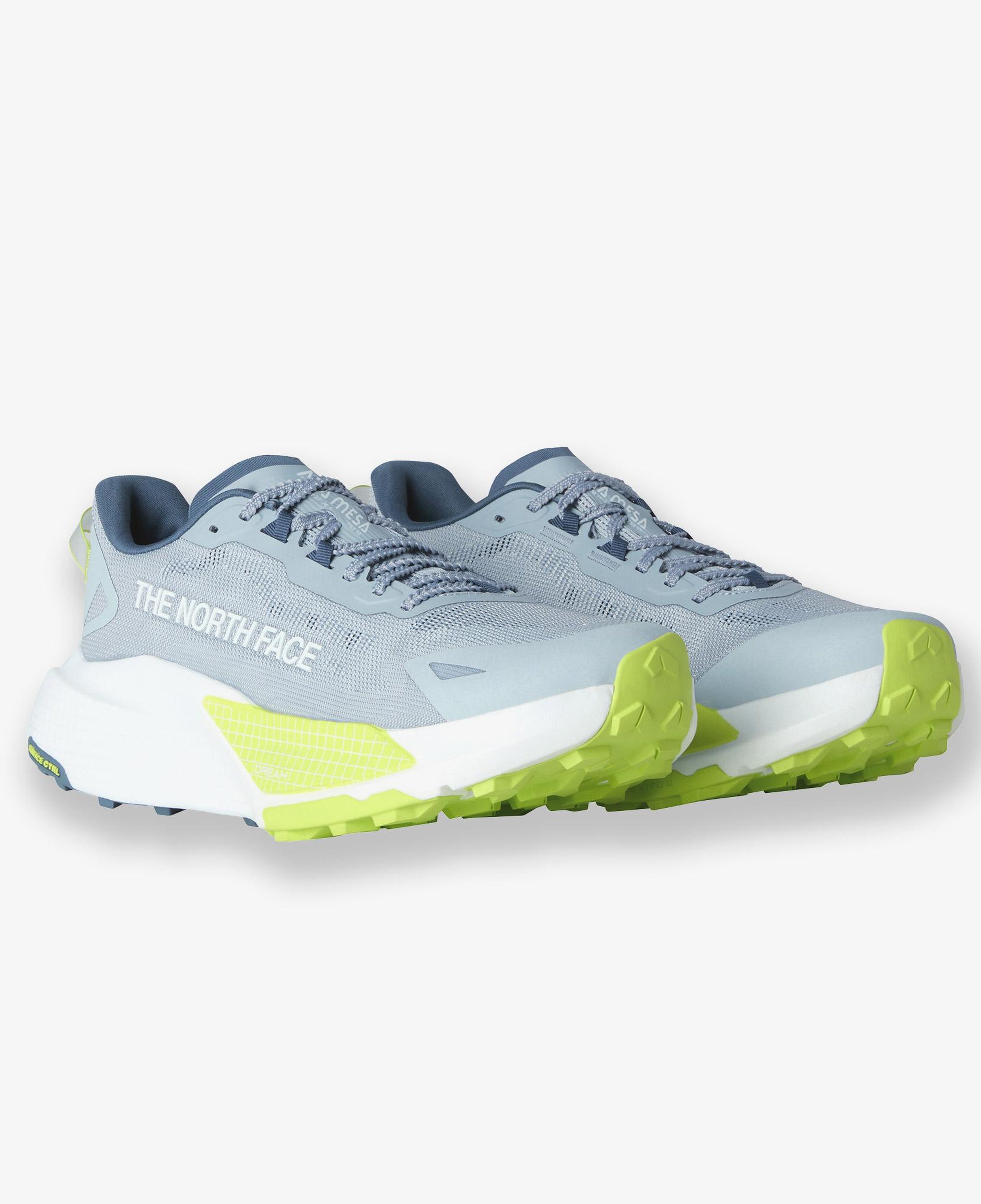 The North Face Altamesa 500 V2 Erkek Gri Koşu Ayakkabısı