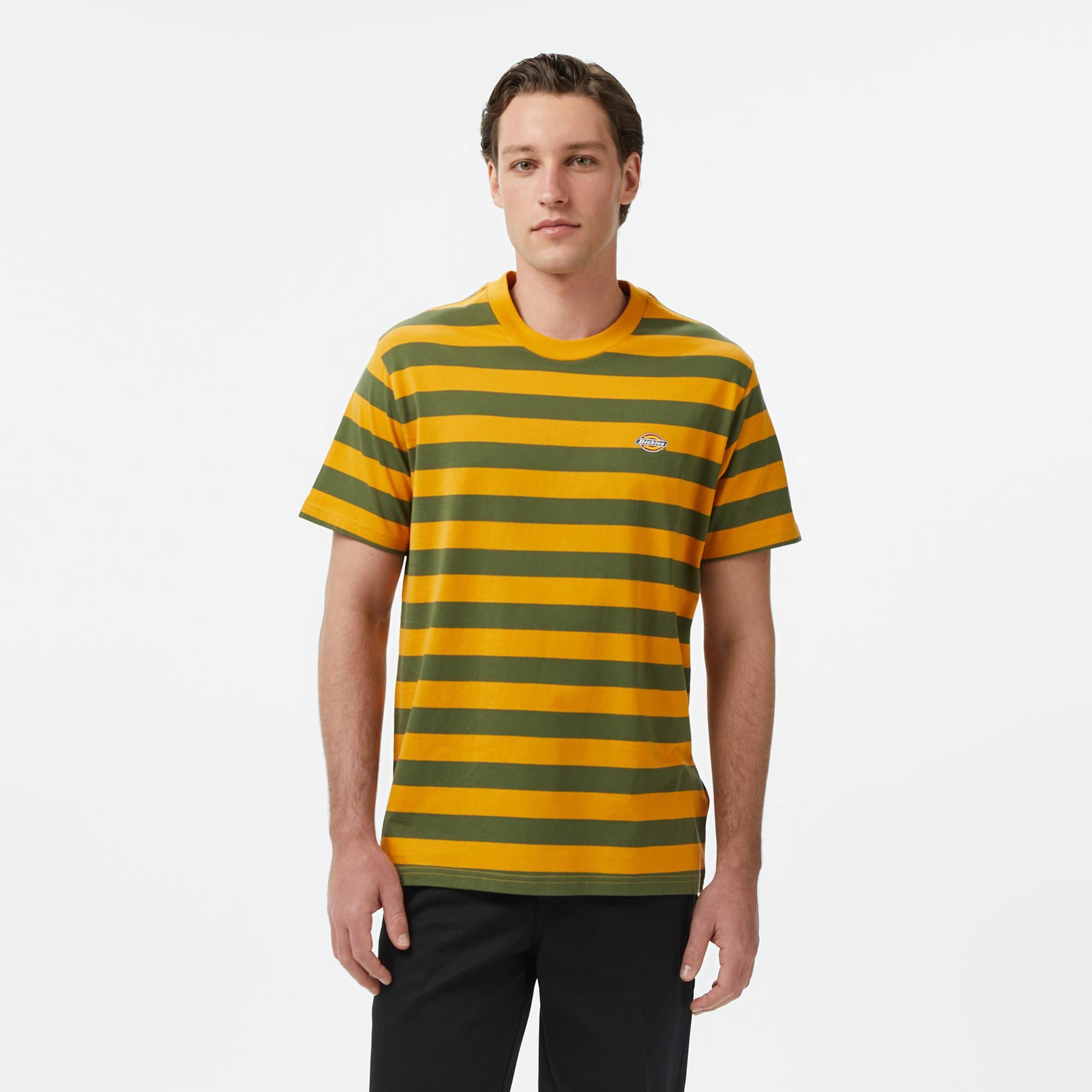Dickies Rivergrove Erkek Renkli T-Shirt