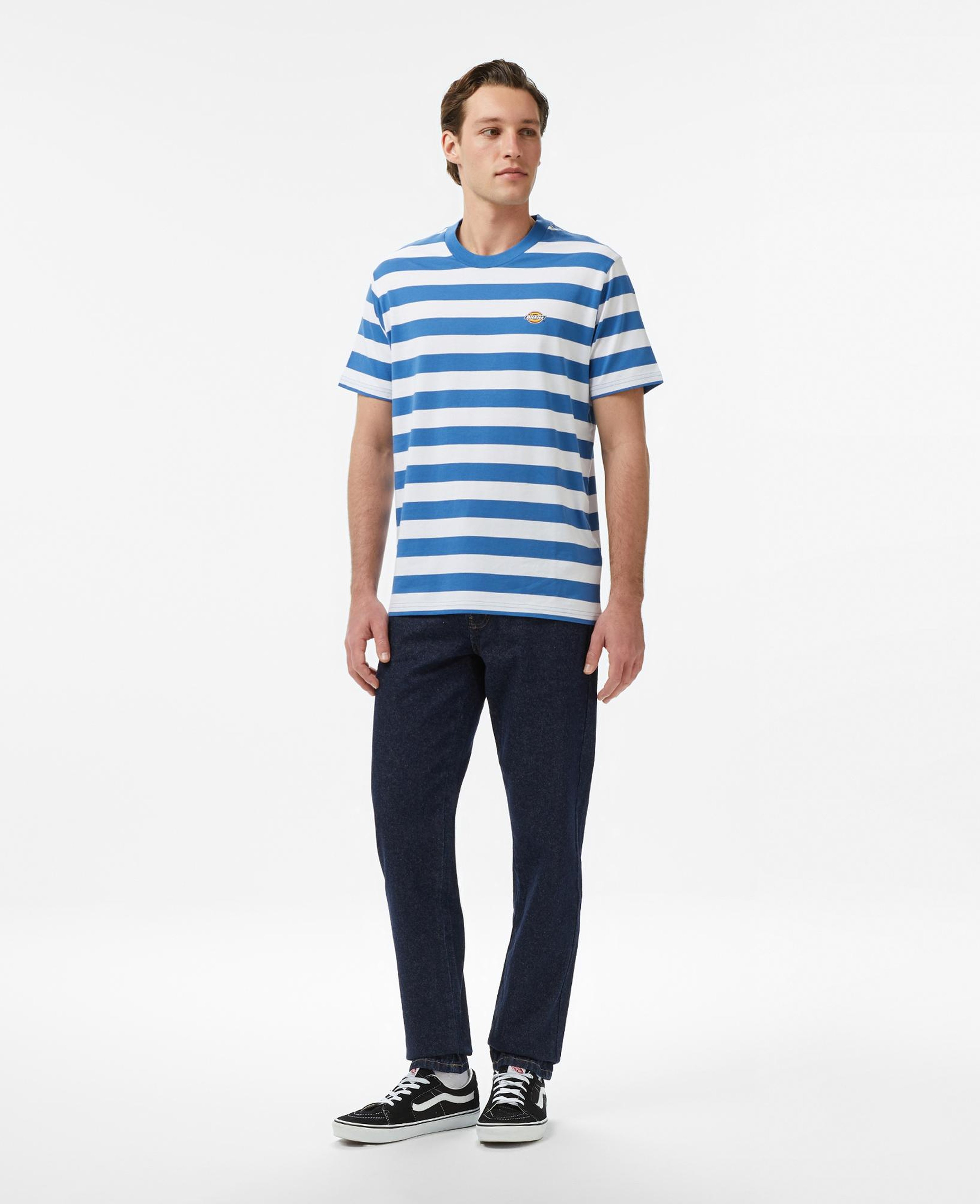 Dickies Rivergrove Erkek Renkli T-Shirt