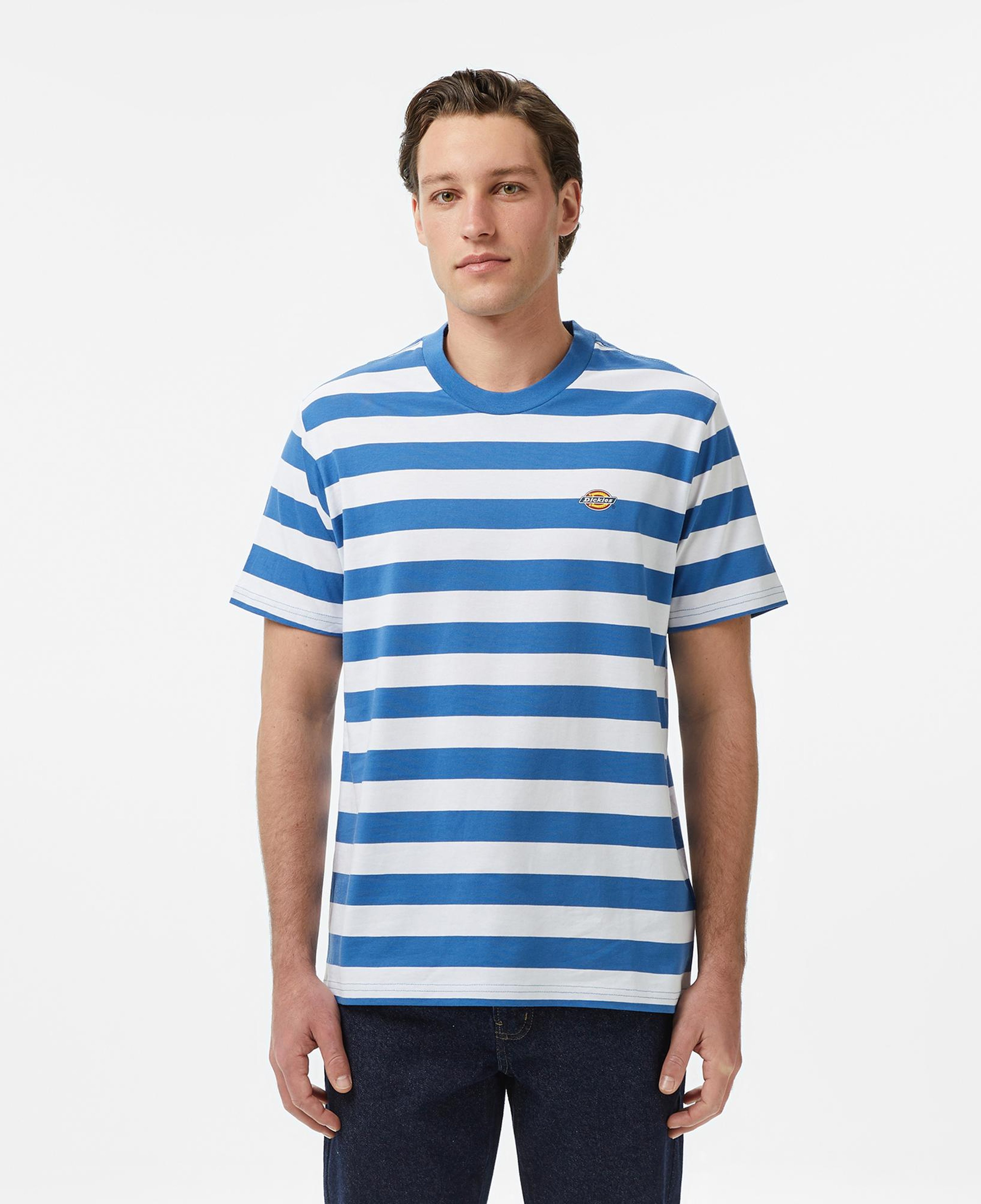 Dickies Rivergrove Erkek Renkli T-Shirt
