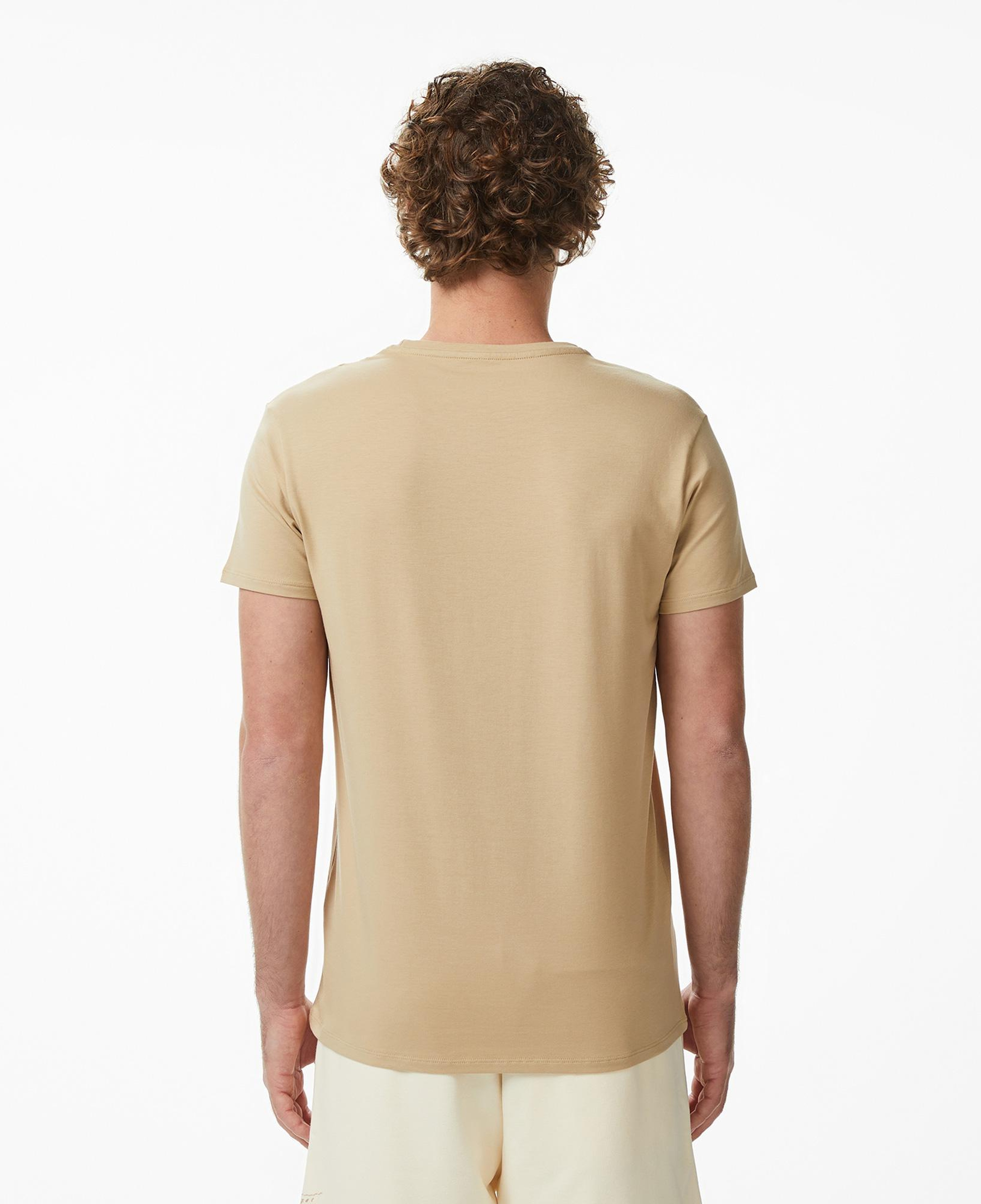 Erkek Slim Fit Bisiklet Yaka Bej T-Shirt