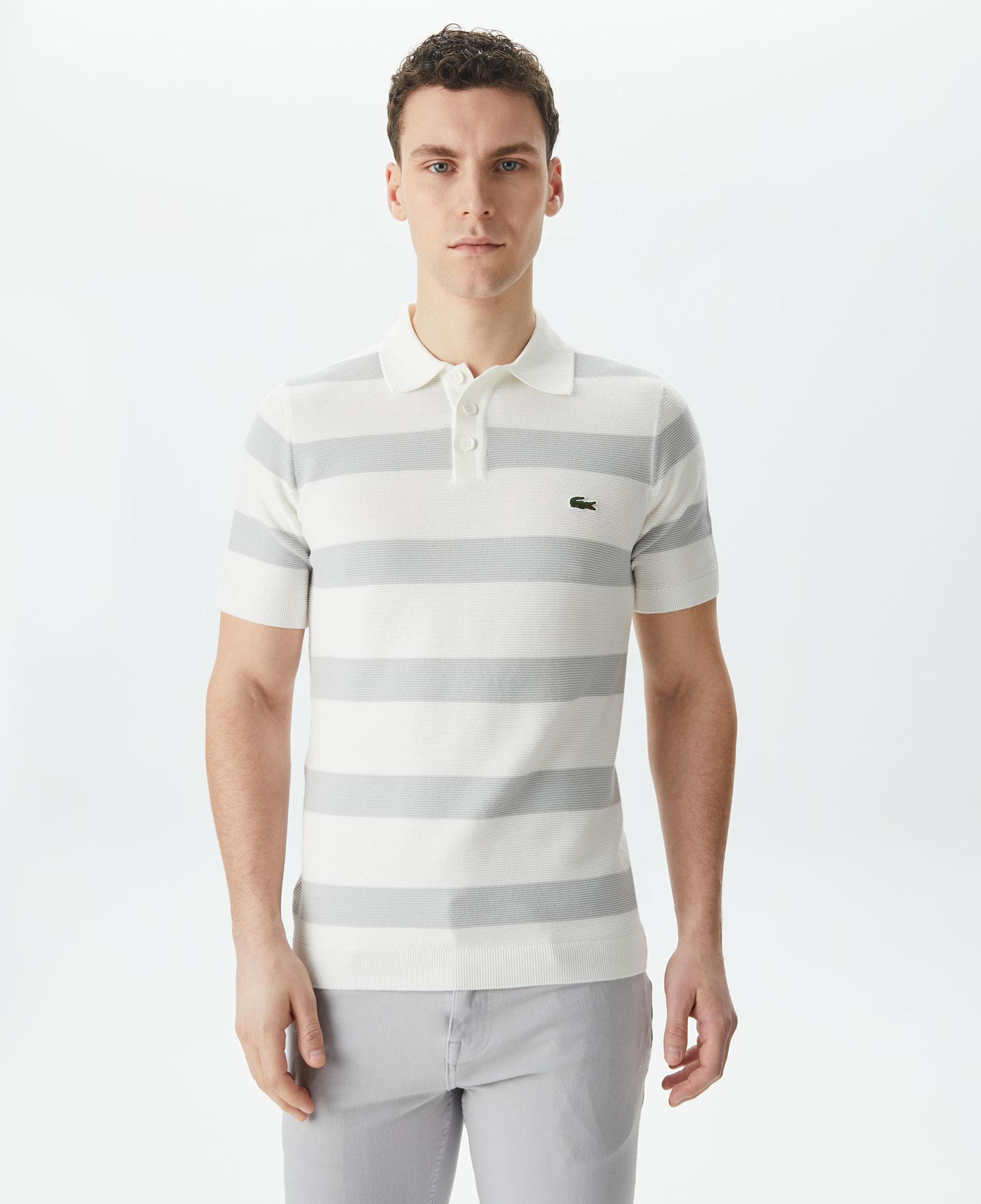 Erkek Regular Fit Kısa Kollu Polo Yaka Gri Triko