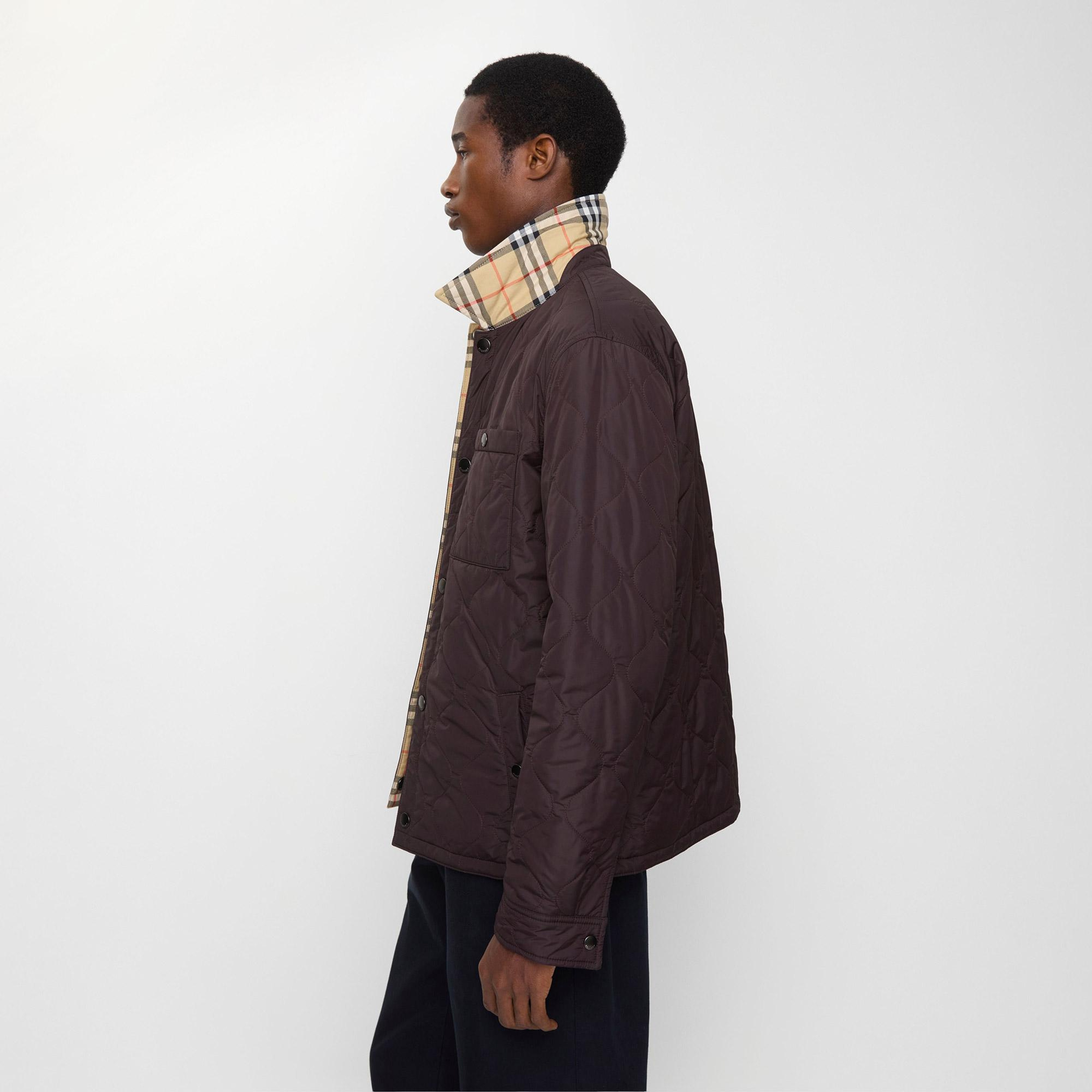 Burberry Brighton Erkek Kahverengi Mont