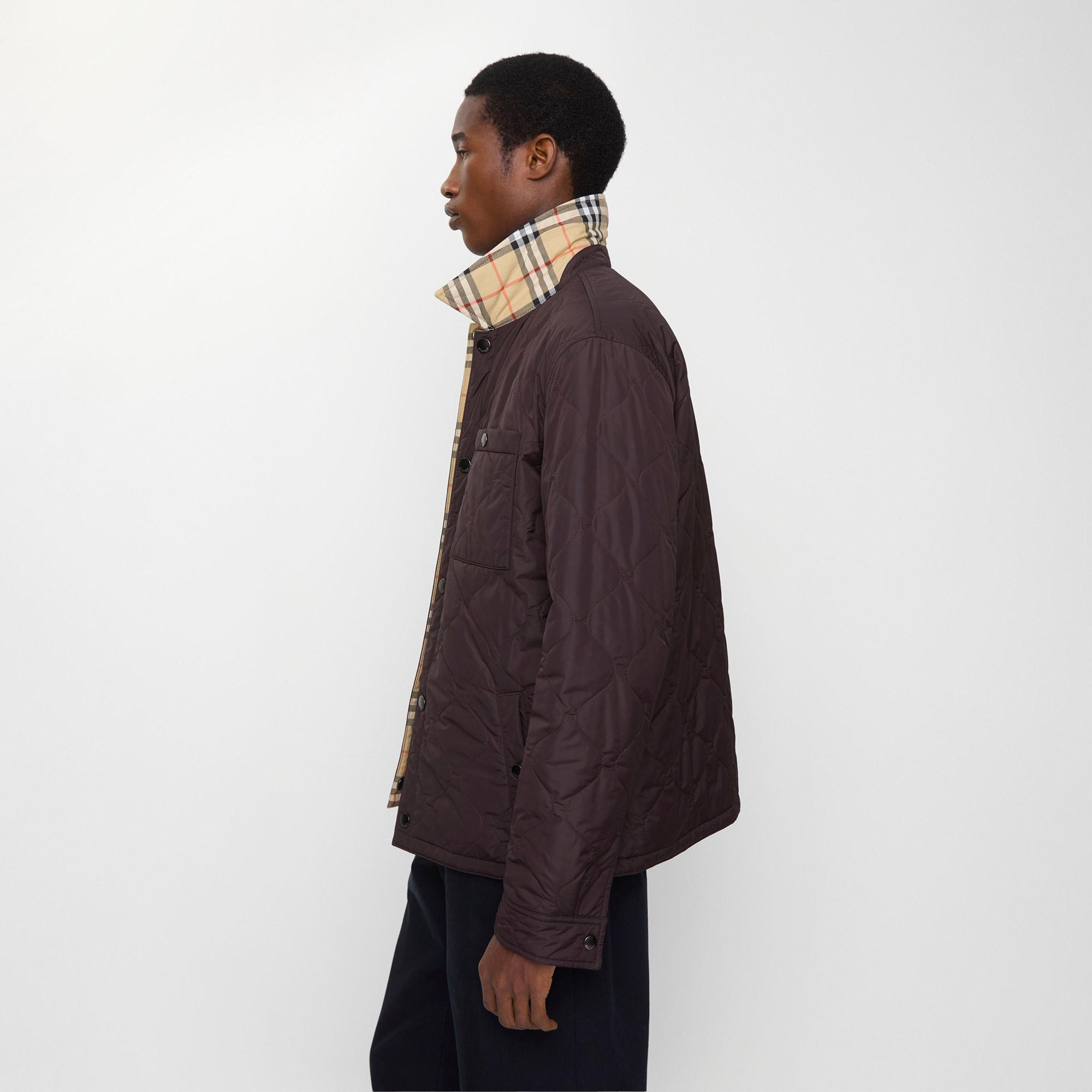 Burberry Brighton Erkek Kahverengi Mont
