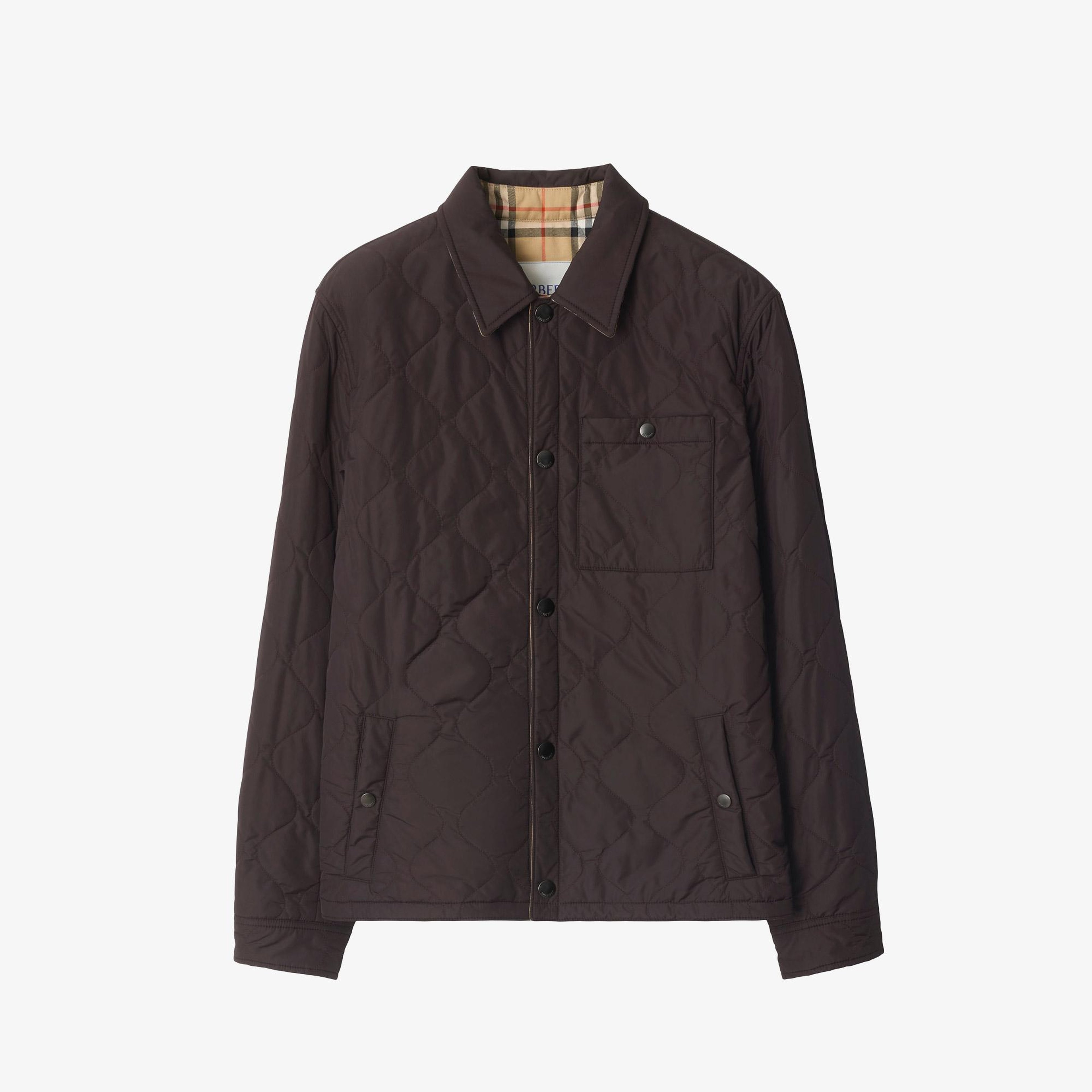 Burberry Brighton Erkek Kahverengi Mont